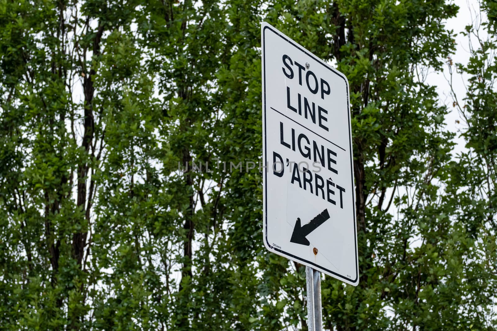 Bilingual Stop Line Sign with Arrow by colintemple