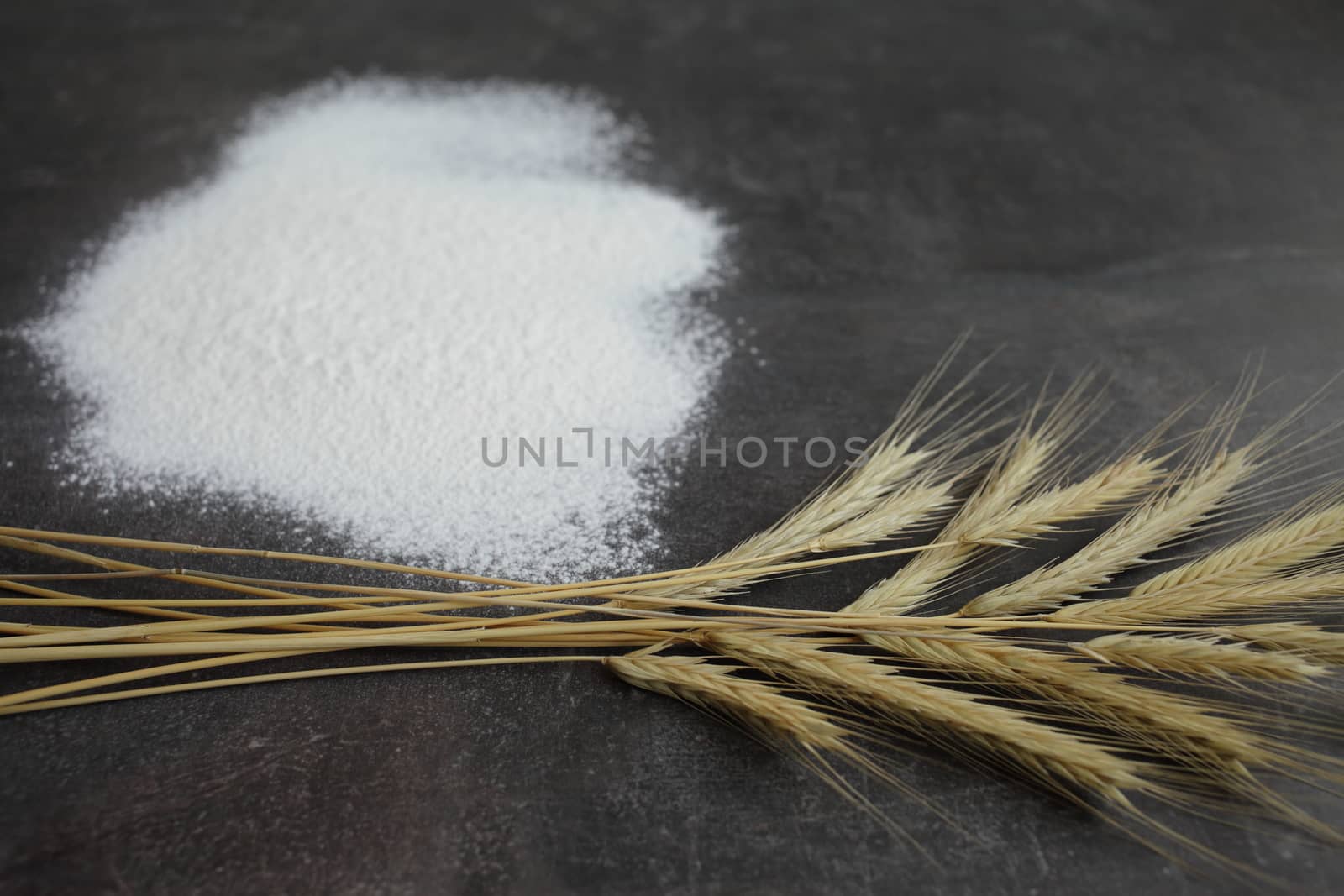 Ears of wheat and flour on a gray background. Top view, grain. by selinsmo