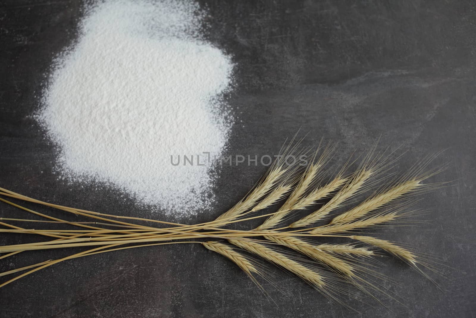 Ears of wheat and flour on a gray background. Top view, grain. by selinsmo