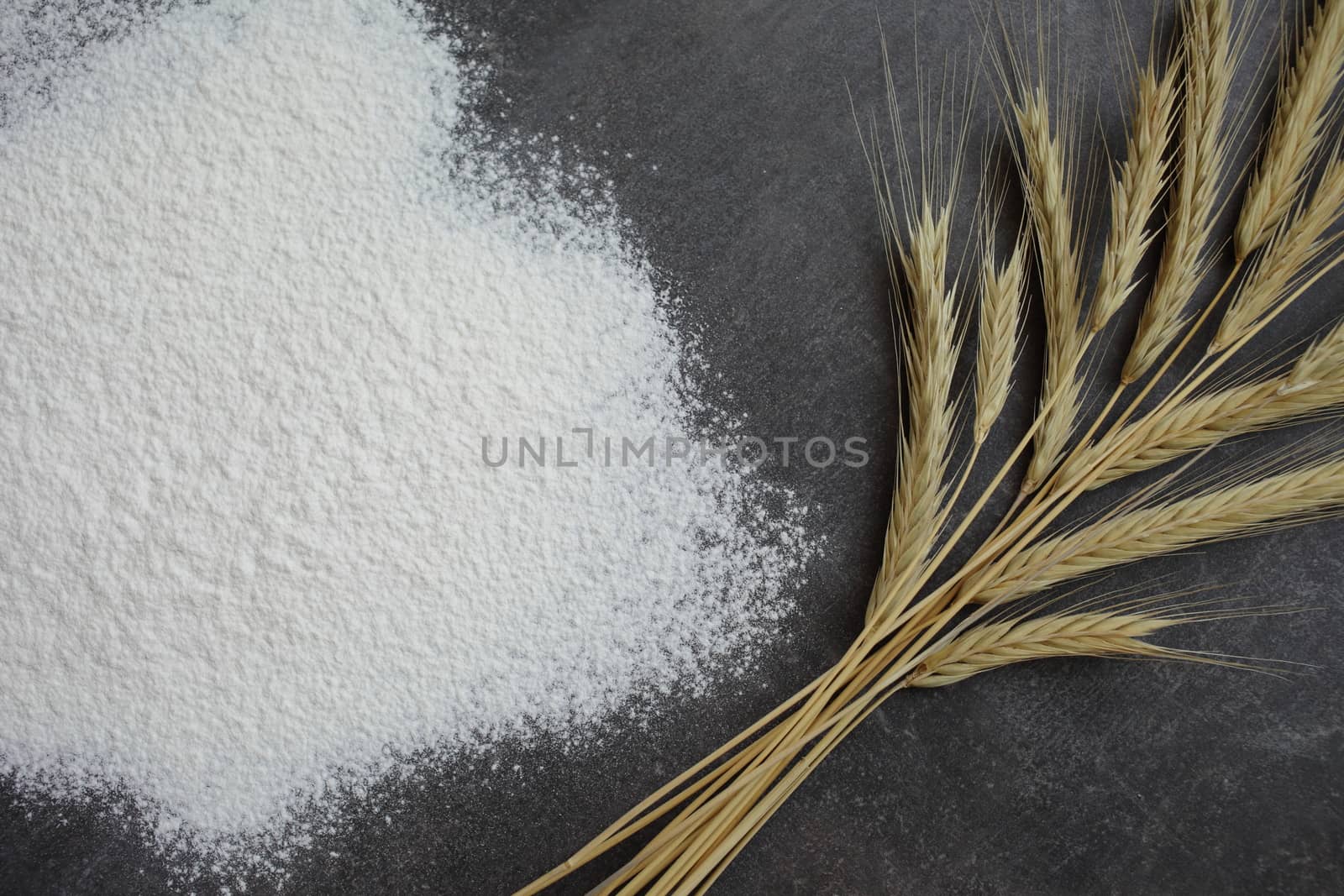 Ears of wheat and flour on a gray background. Top view, grain. Ripe wheat. For baking bread. High quality photo
