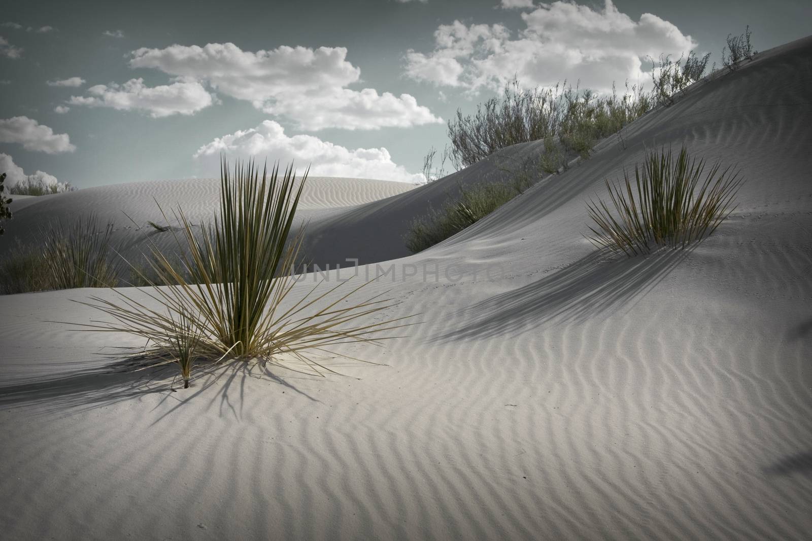 White Dunes by applesstock