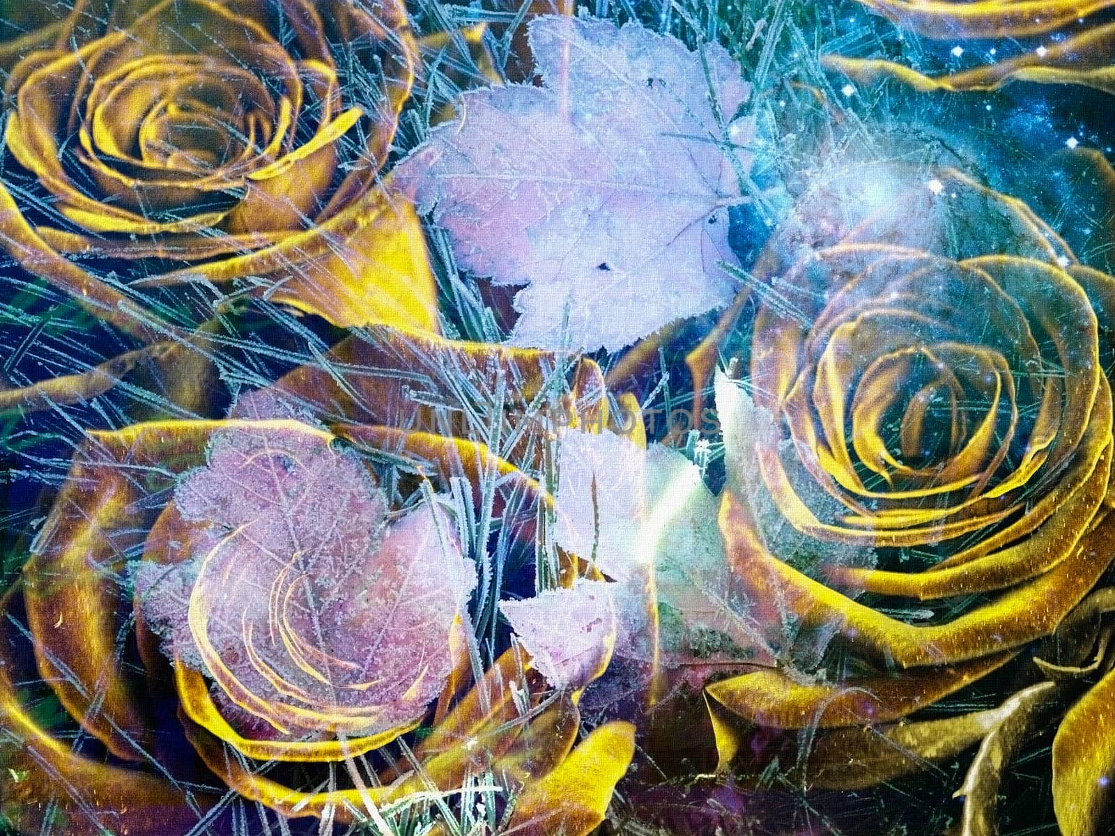 Surrealism. Yellow roses are overlapping with autumn leaves.