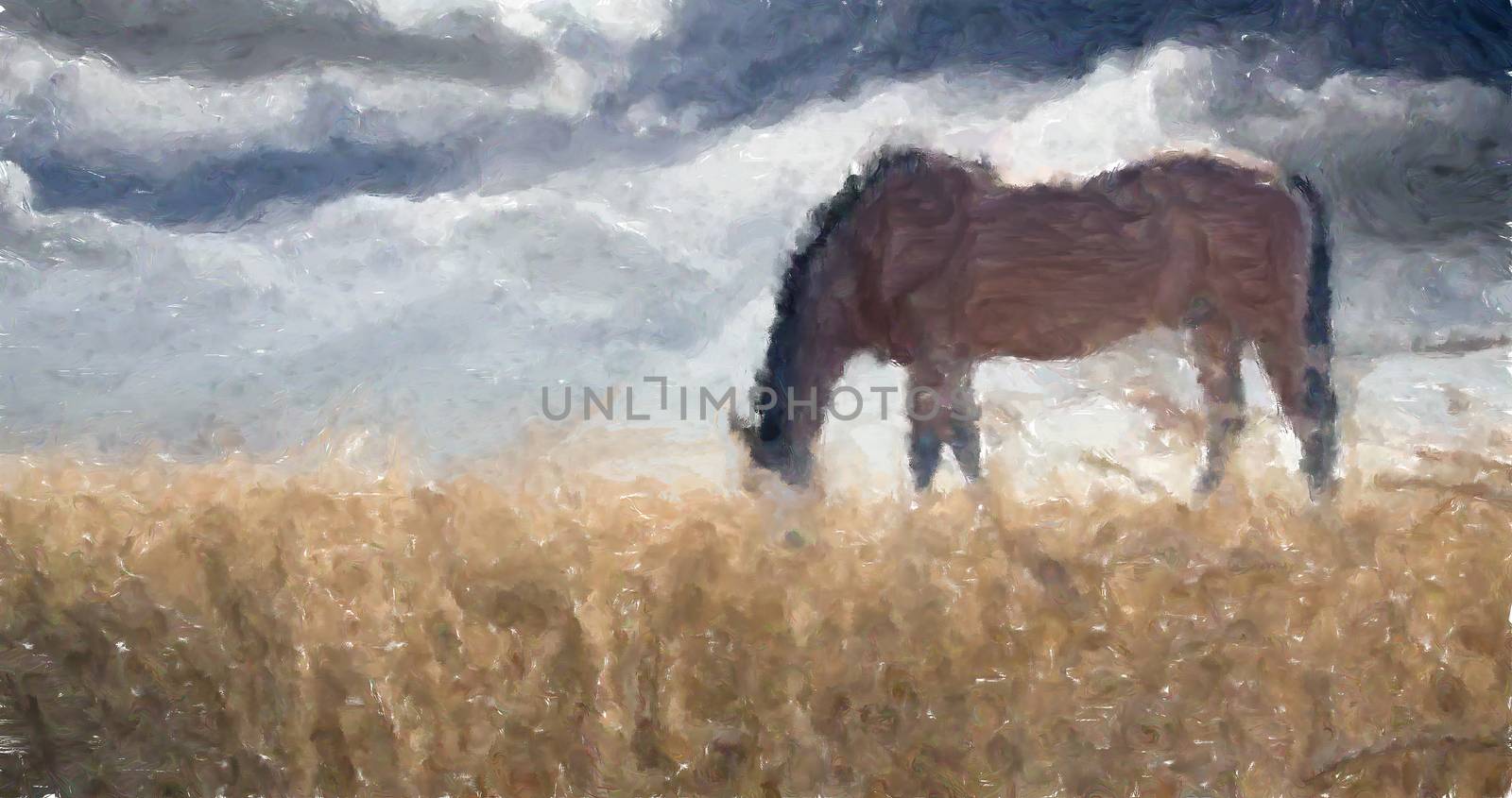Tranquil scene. Horse grazes in the field.