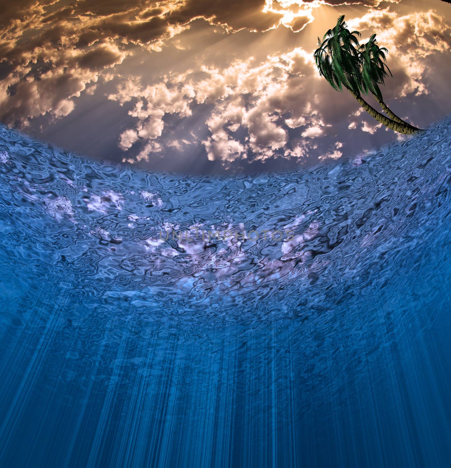 Tropical underwater view. Sunset and palm tree