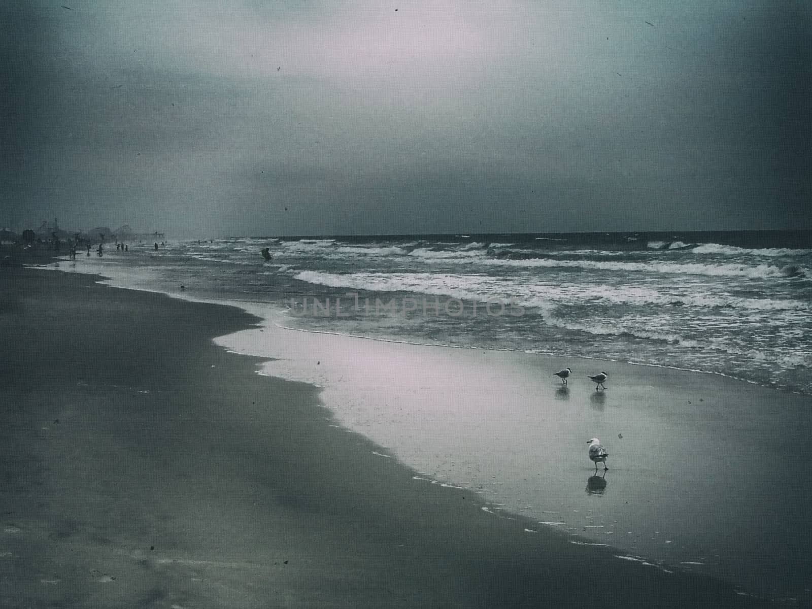 Seagulls on sandy ocean shore. Village in the distance
