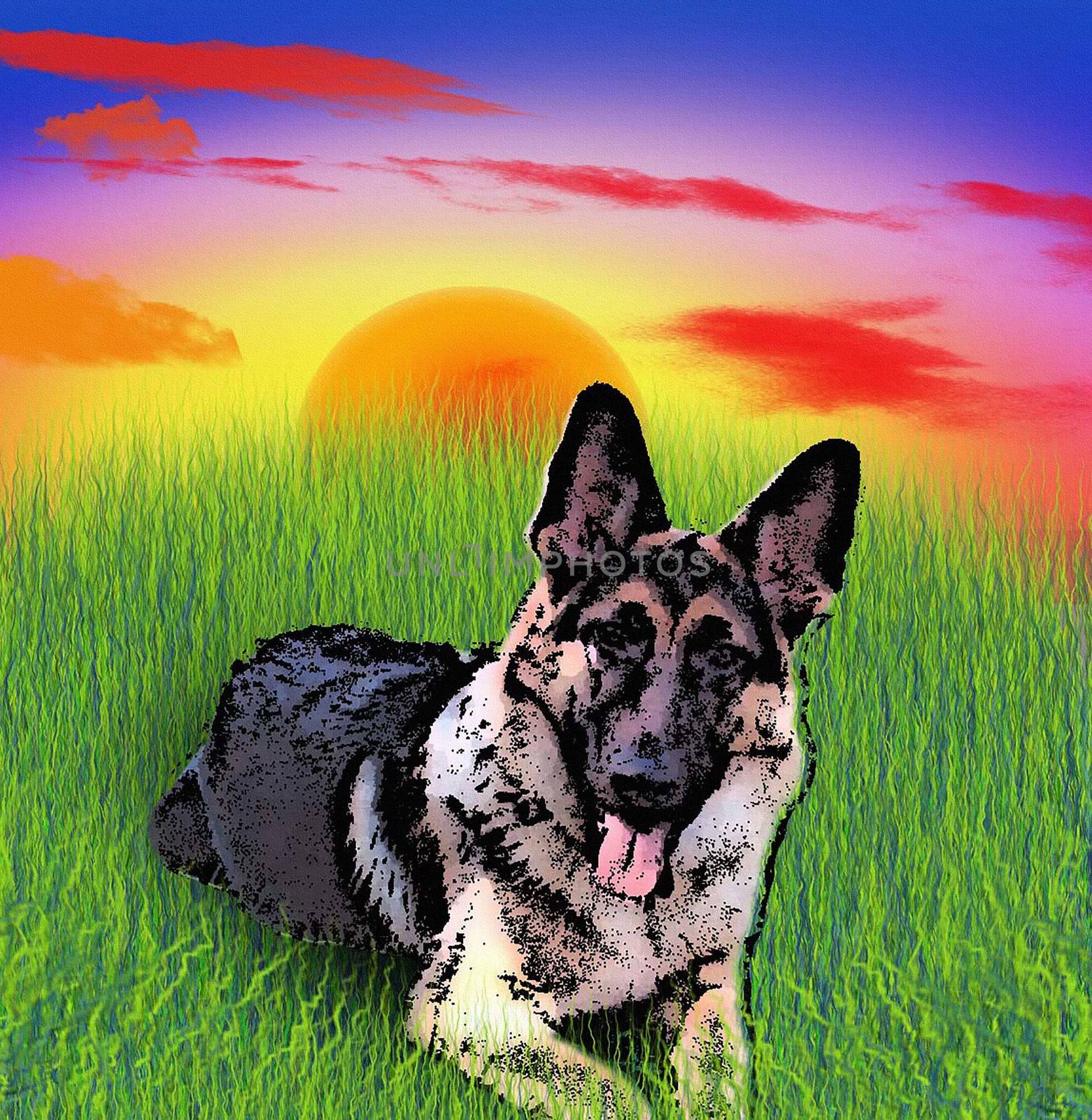 Illustration. German shepherd dog lying on green grass. Sunset 