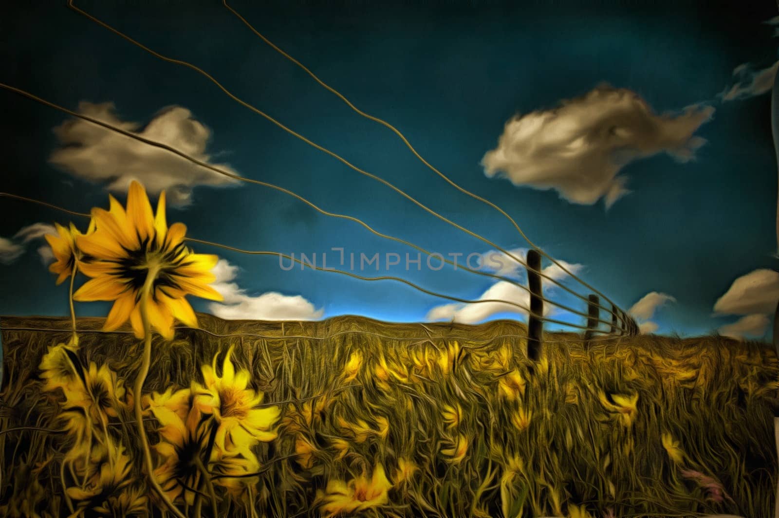 Painting. Sunflowers in the field