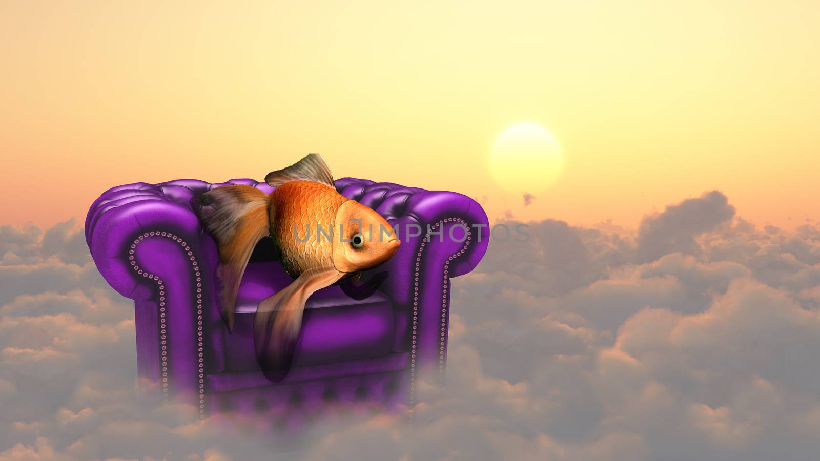 Armchair and golden fish on a clouds.