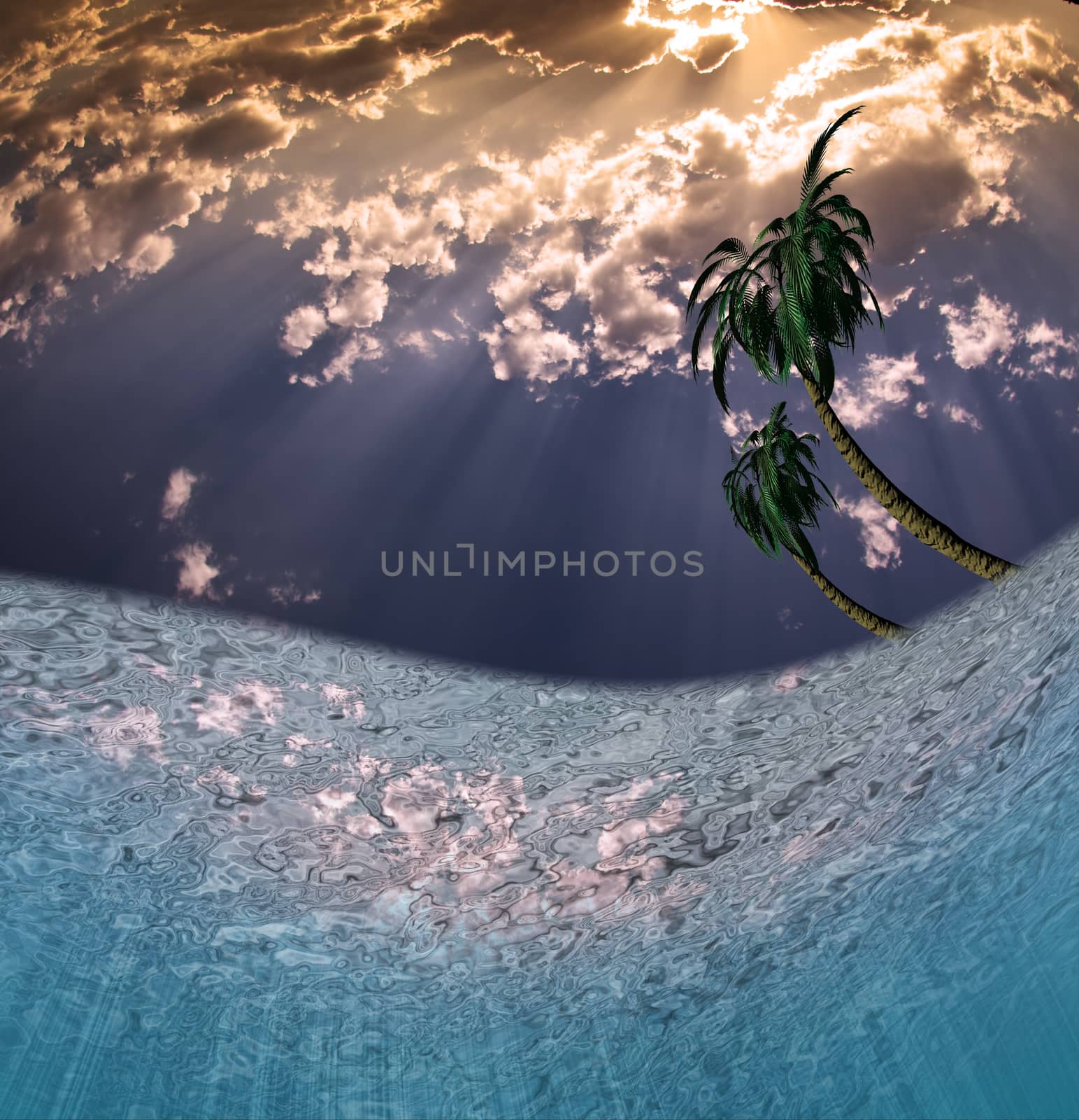 Tropical Waters. Beautiful sunrise and palm trees