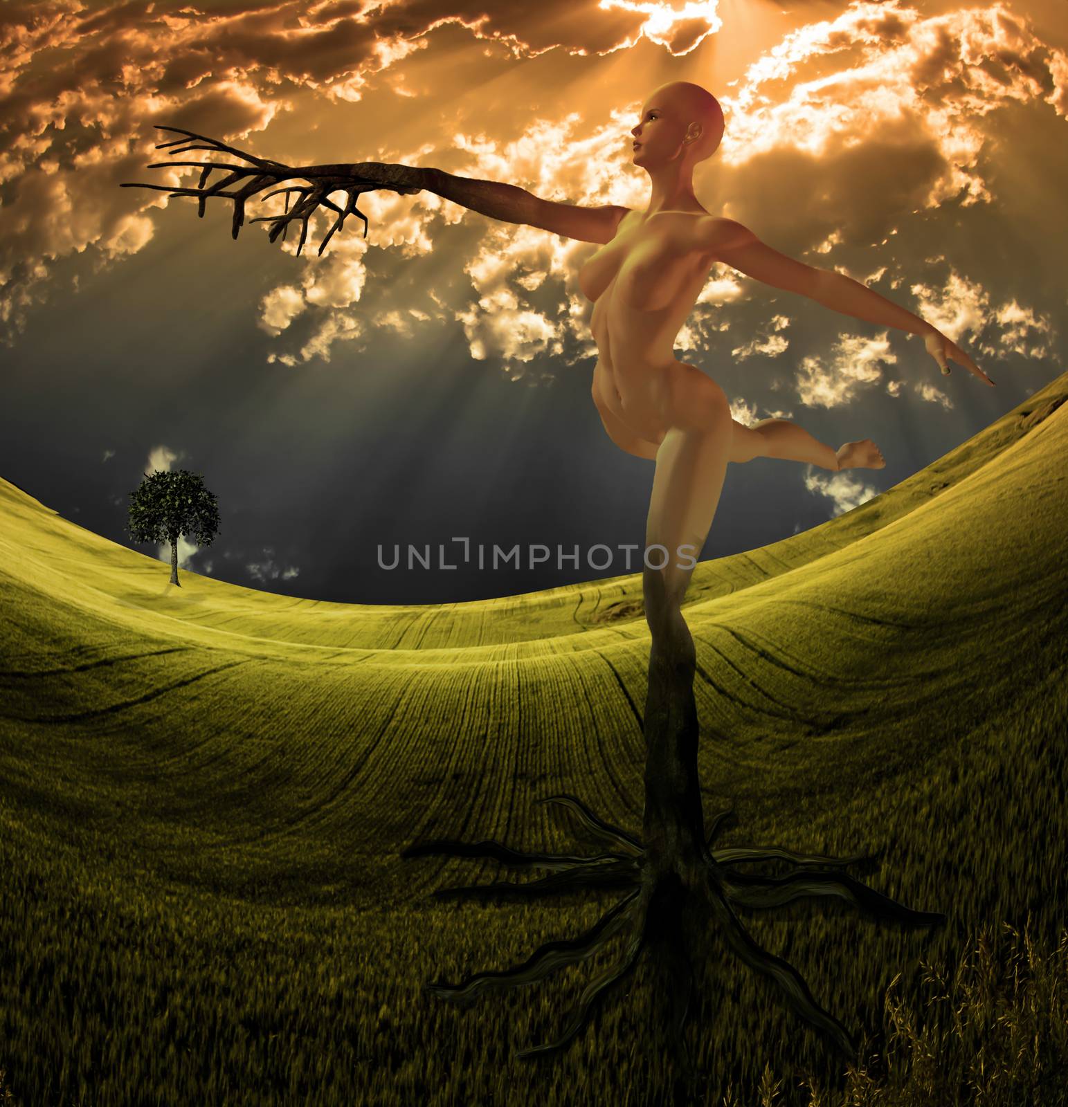 Tree Nymph in dream like landscape