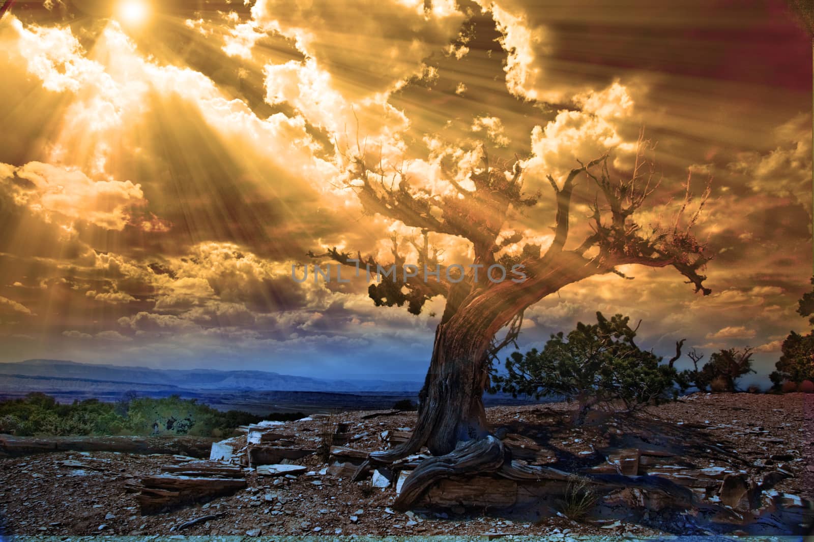 Light streams into rocky desert scene