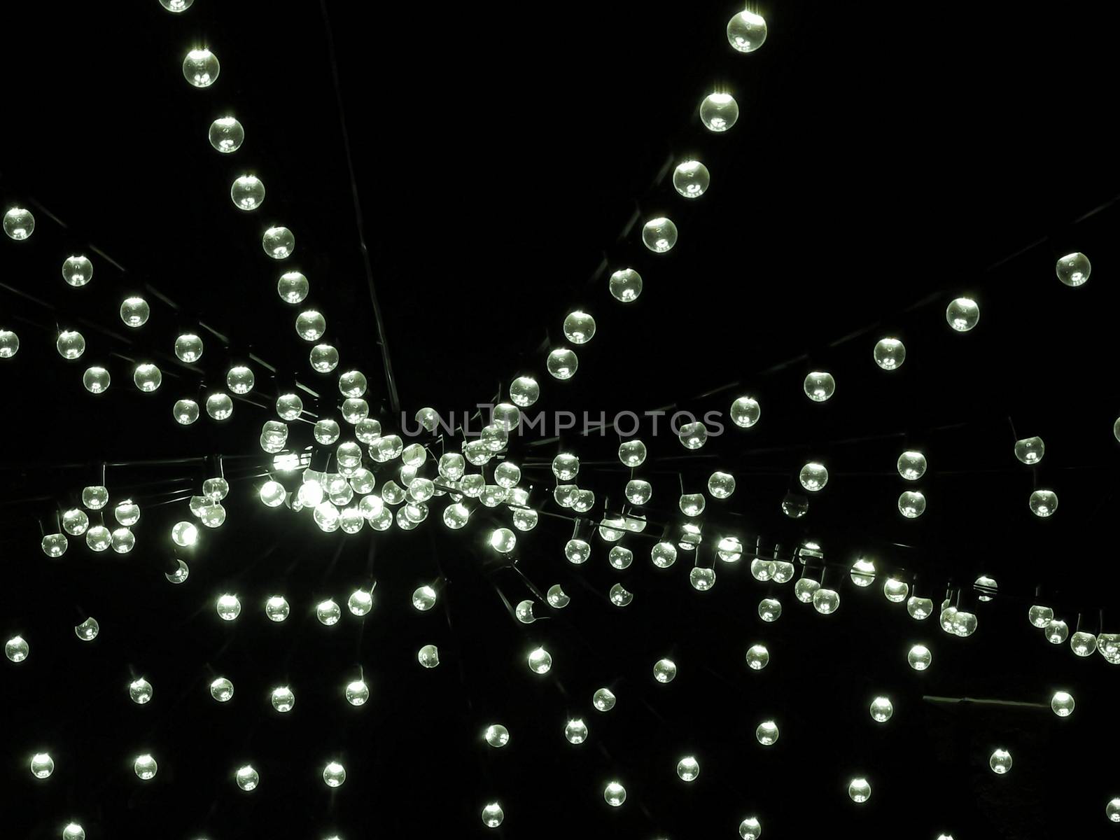 Decorative light bulbs during festive season by sonandonures