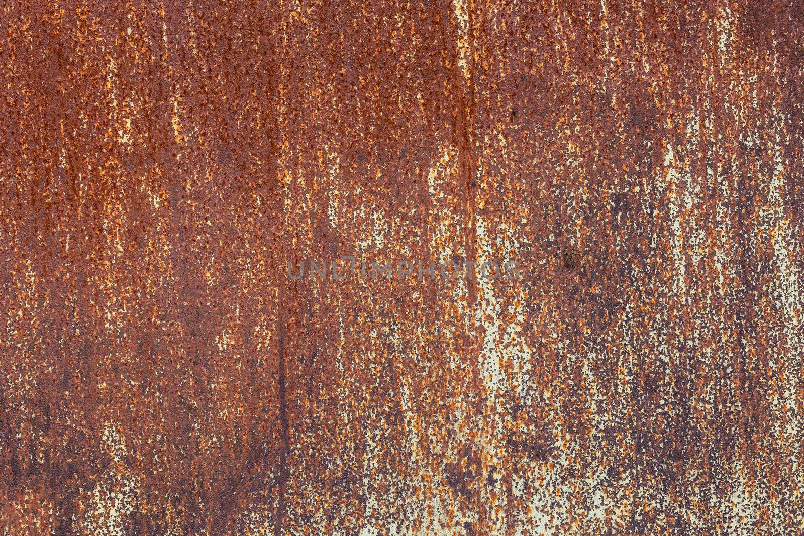 abstract background and texture of with orange rust and leftovers of white paint.