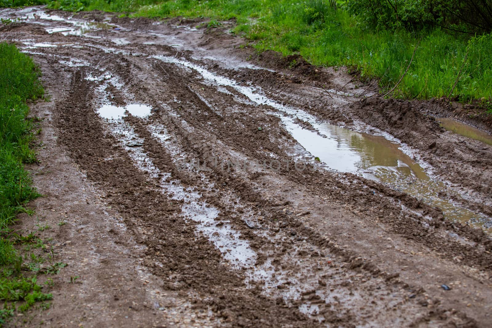 dirty clay mud road with puddles and tire tracks - closeup with selective focus and linear perspective.