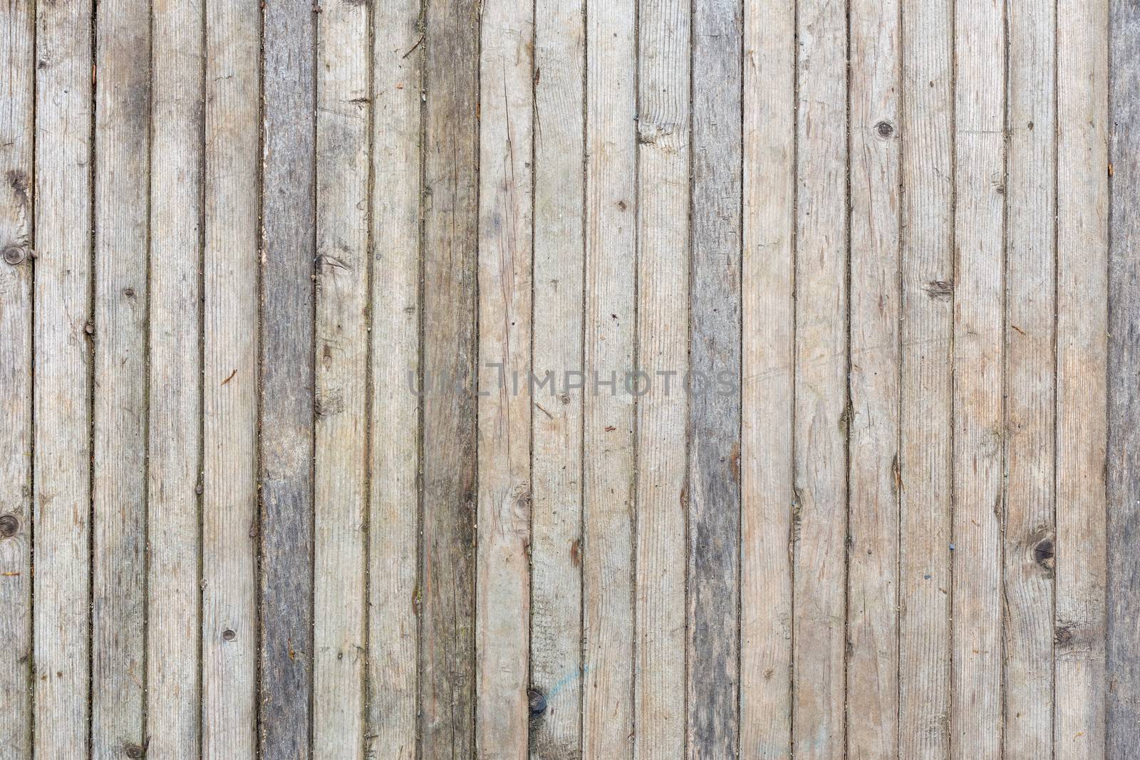 flat texture and background of vertical gray thin solid wooden planks - old, and worn out