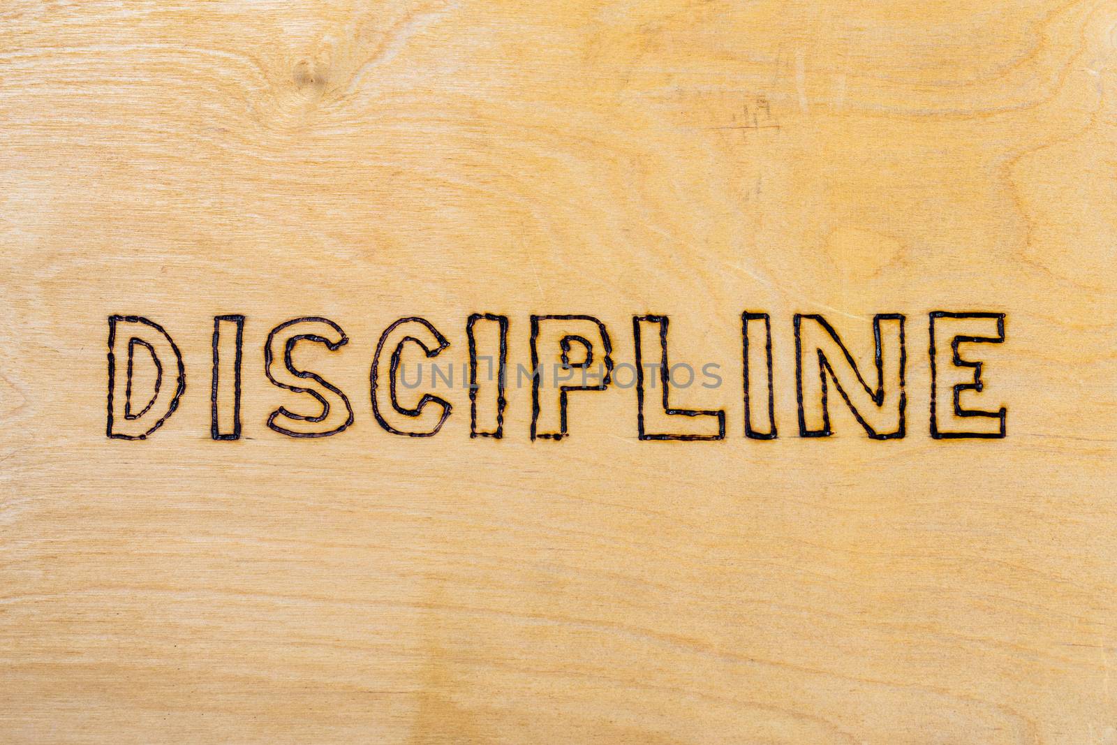 the word discipline burnt by hand with woodburner on white flat wooden surface - directly above normal view