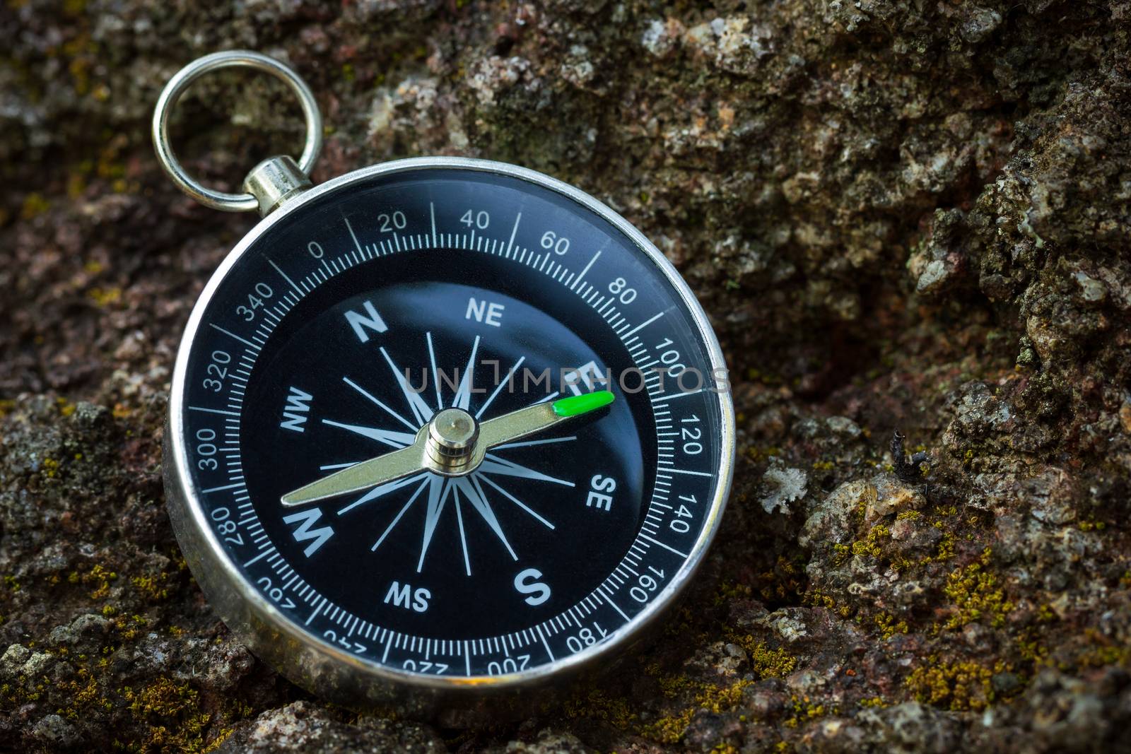 Compass placed on the rock in forest. Closeup and copy space. Concept of jungle adventure travel.