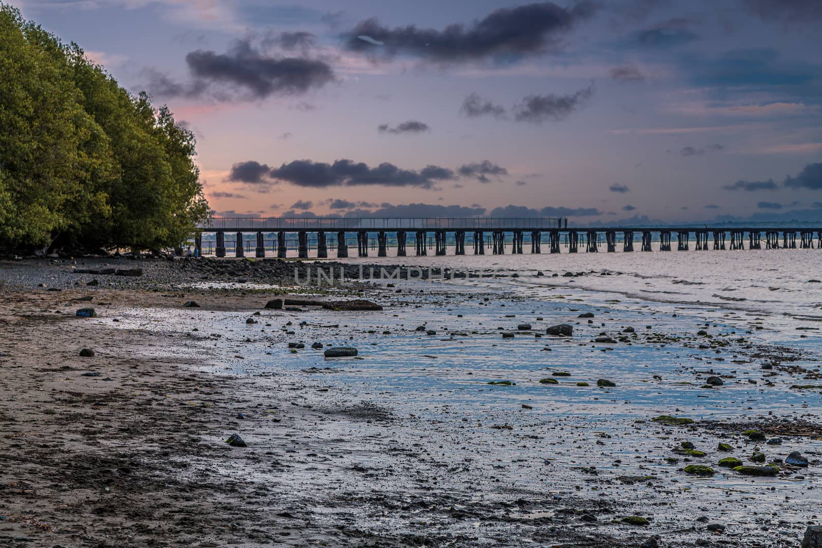 Late Afternoon Low Tide Mud by dbvirago