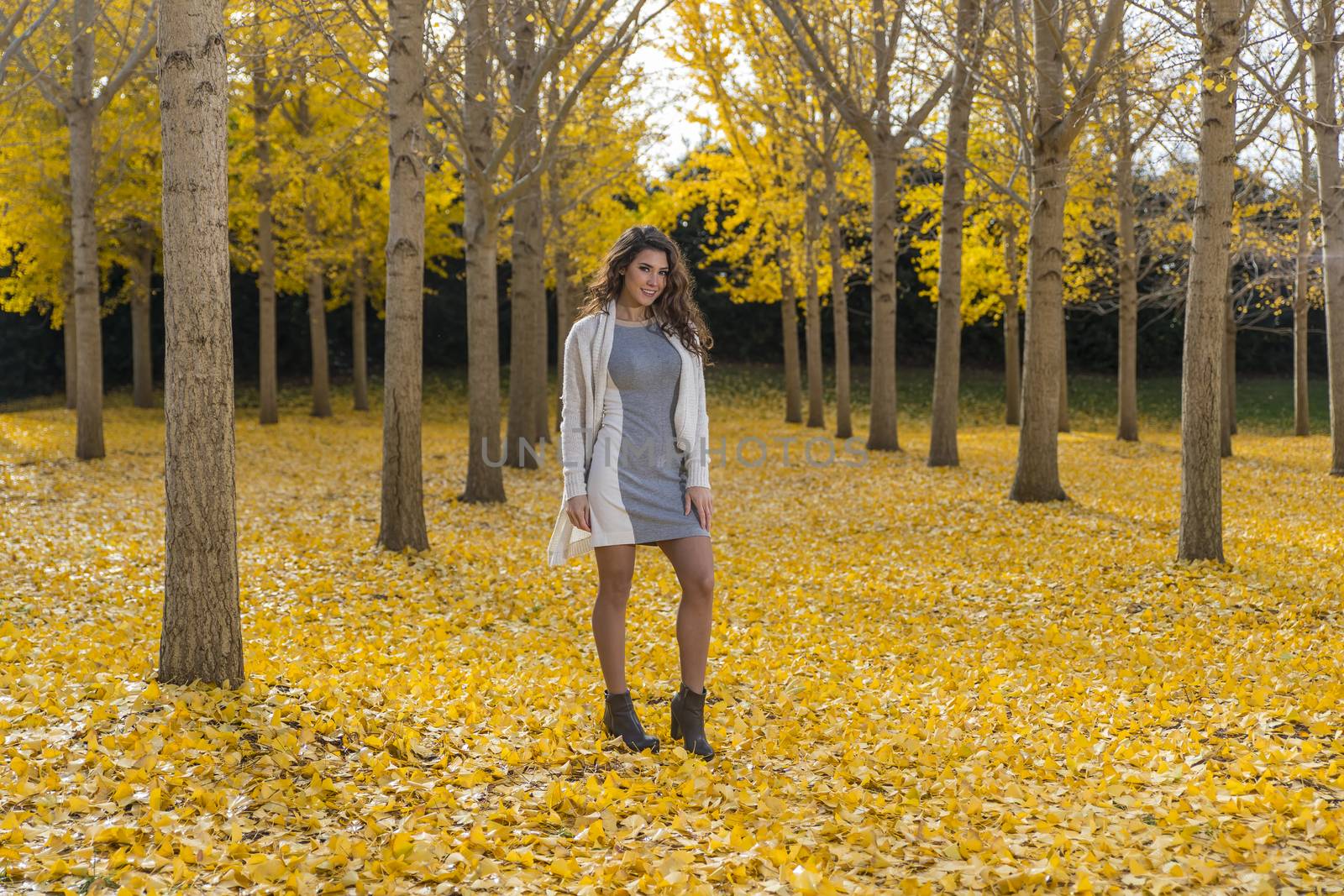 Brunette Model In Fall Foliage by actionsports