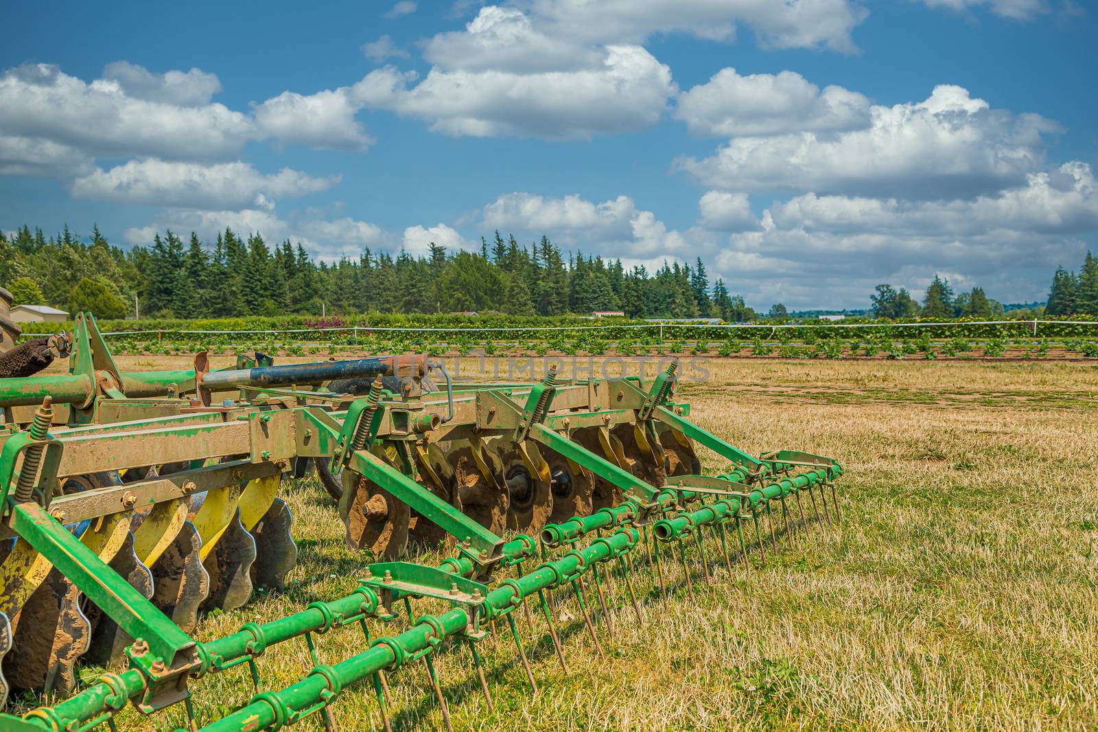 Modern Plow in Green Field by dbvirago