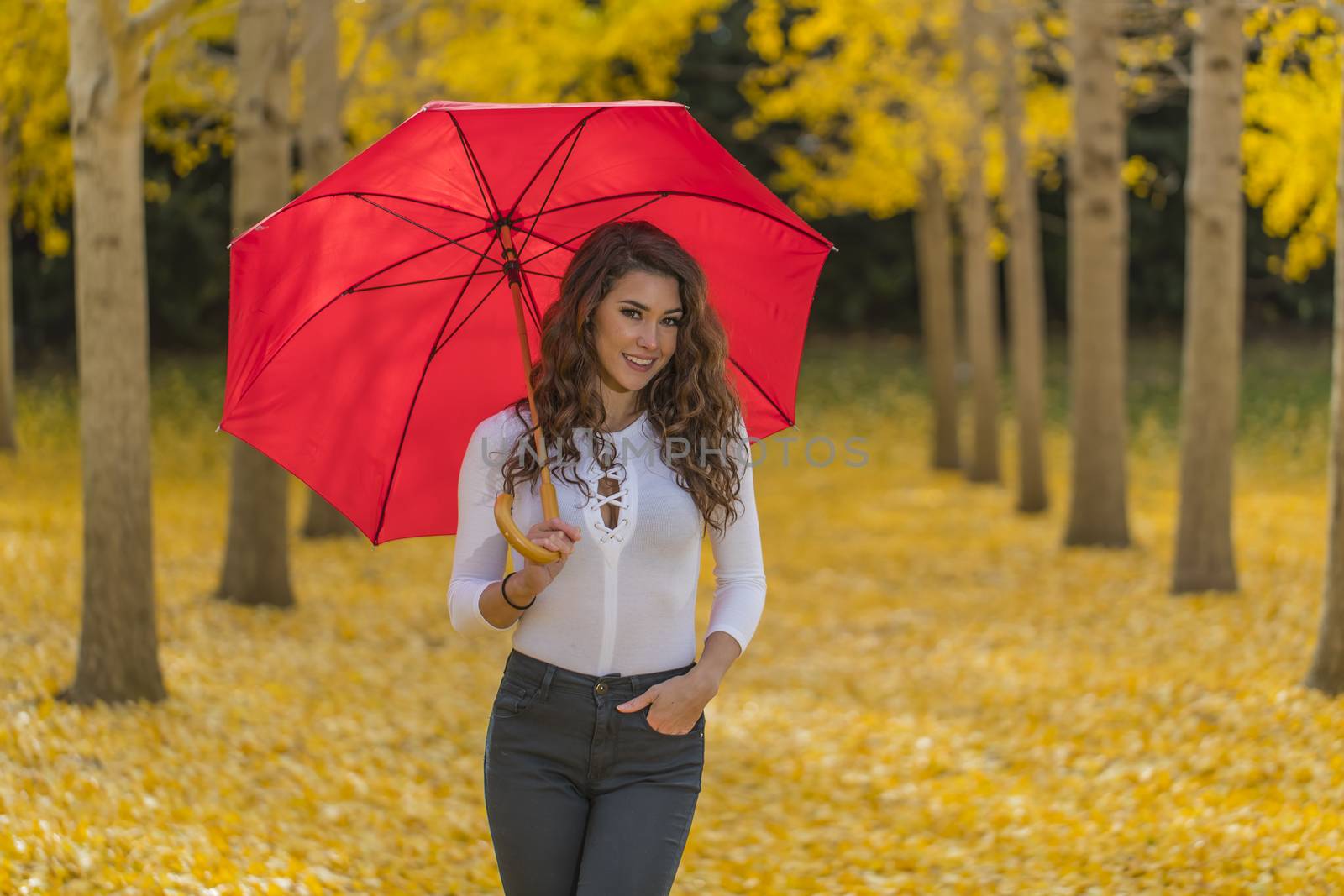 A beautiful brunette model with yellow fall foliage