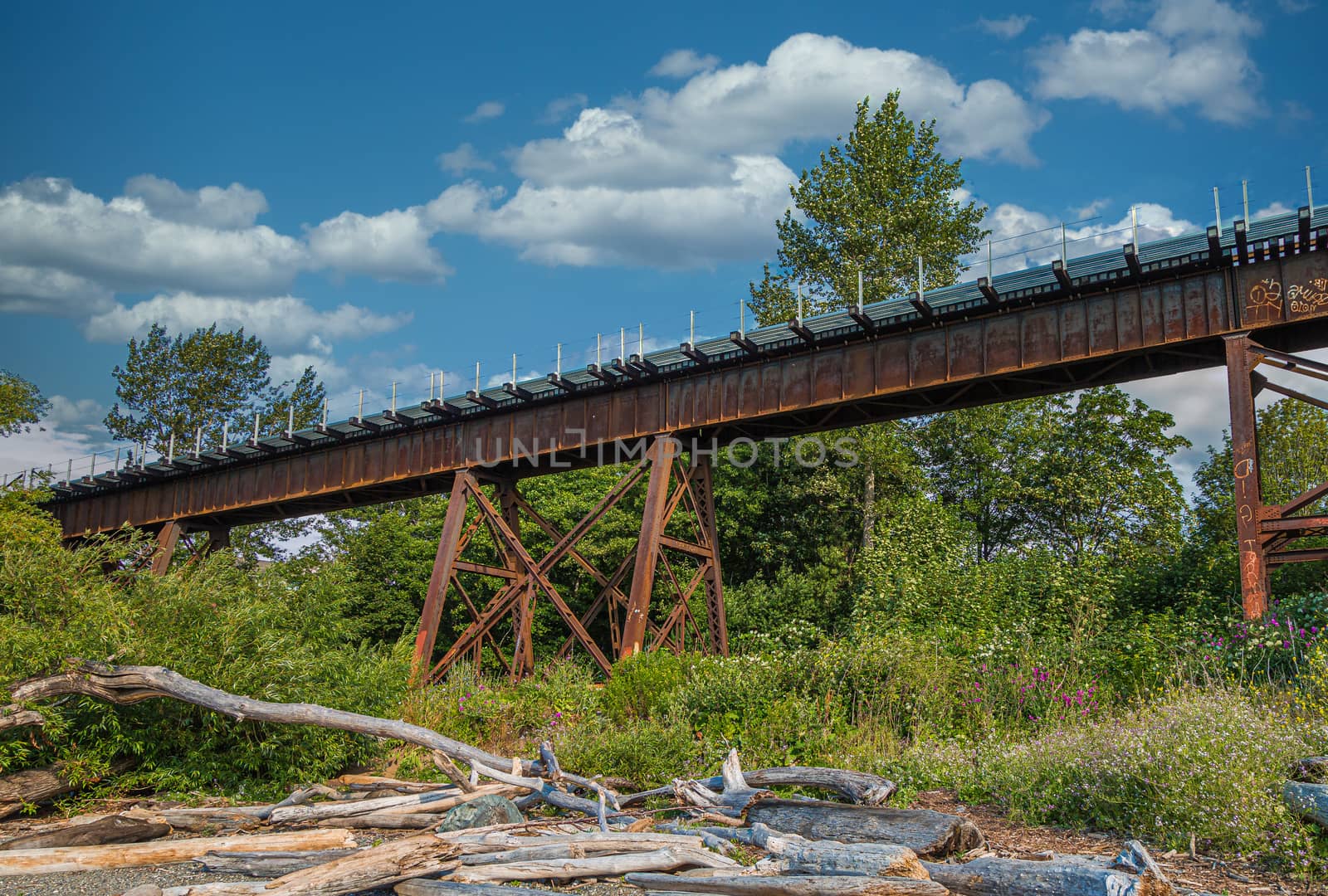 Rusty Trestle Bridge Over Driftwood by dbvirago