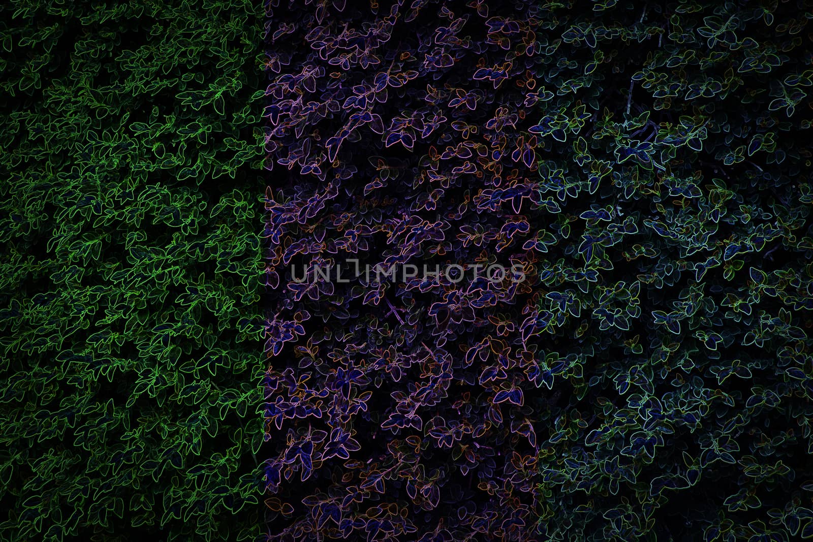 Separate of three tone color of leaves for fantasy nature background.