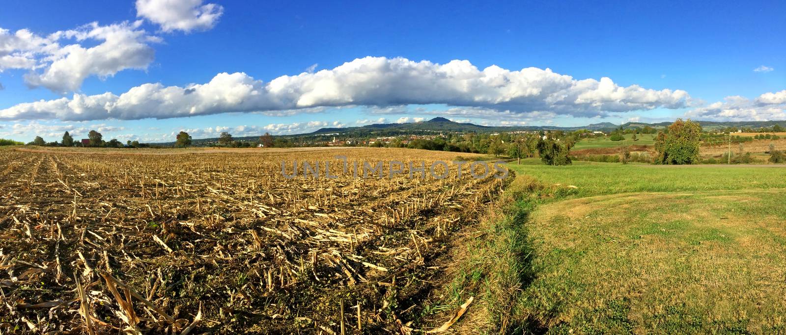 harvested corn field with mountain in the background