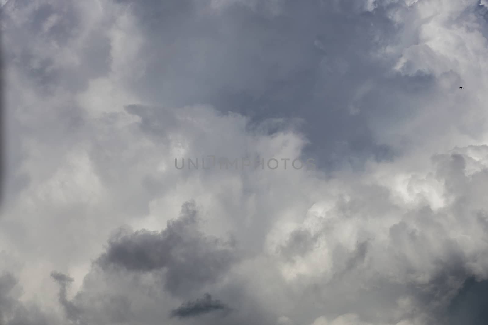 gray incoming storm clouds closeup backdrop, captured with telephoto lens