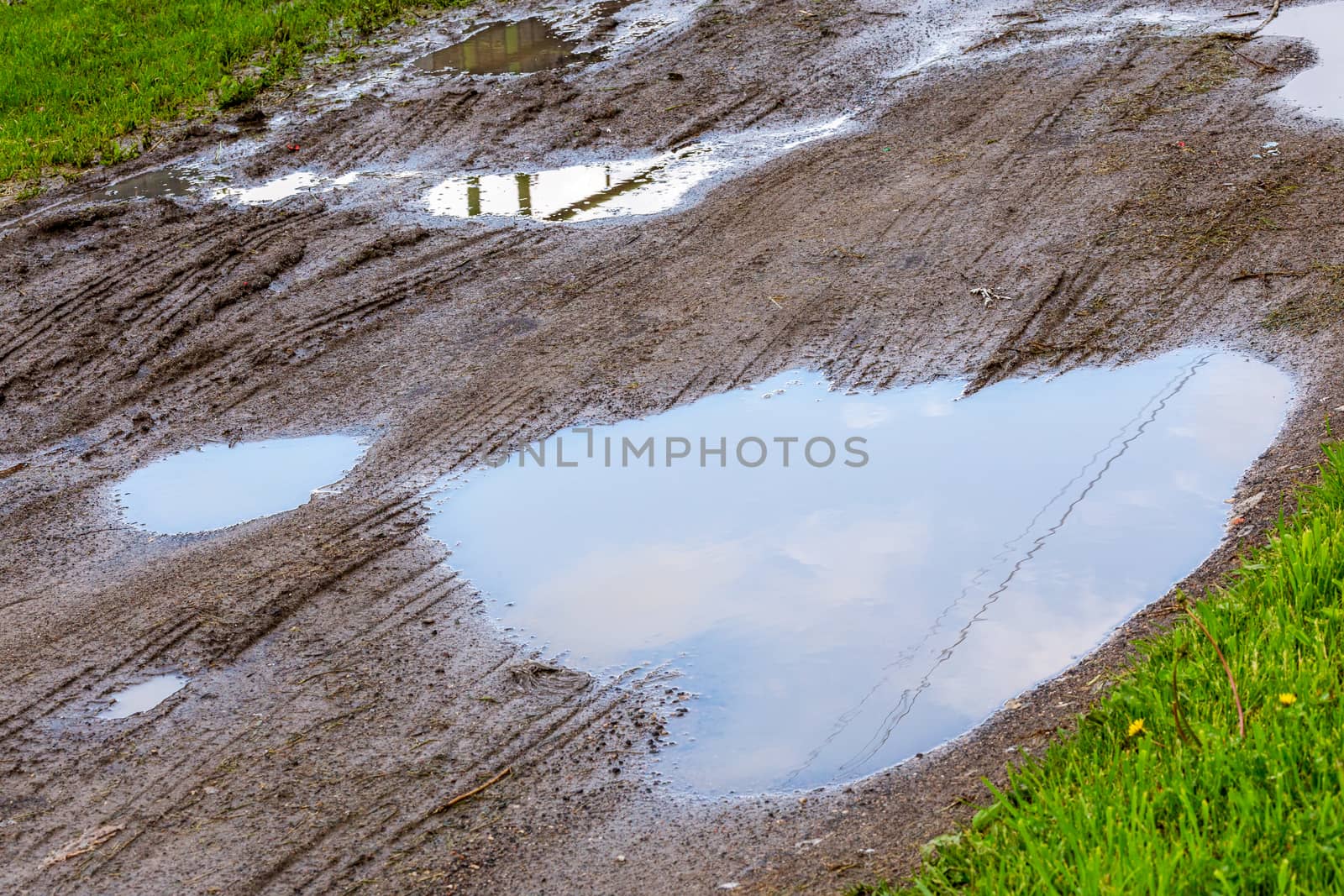 puddle in dirt road at summer daylight - closeup with selective focus, diagonal composition by z1b