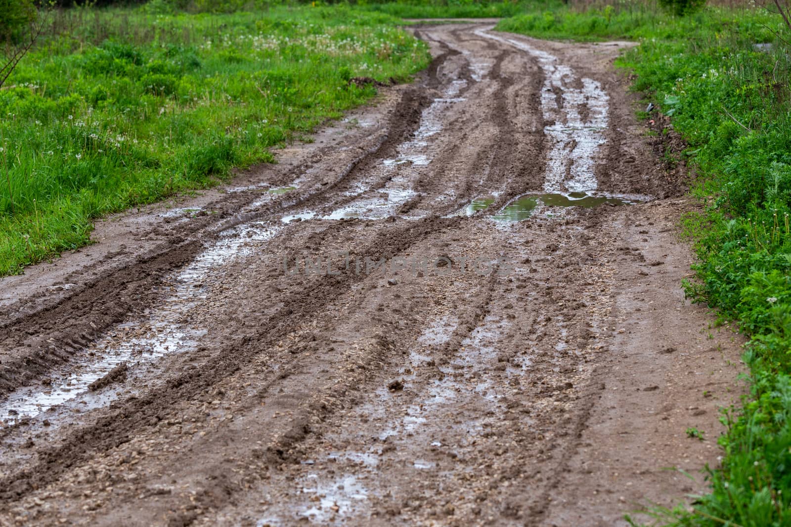 dirty clay mud road with puddles and tire tracks - closeup with selective focus and linear perspective by z1b