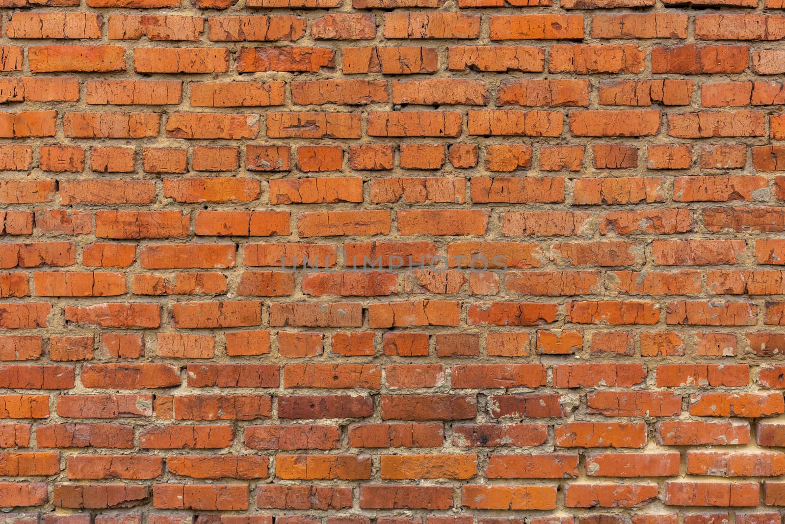 boring old brick wall flat texture and background, shot with macro lens with closed aperture