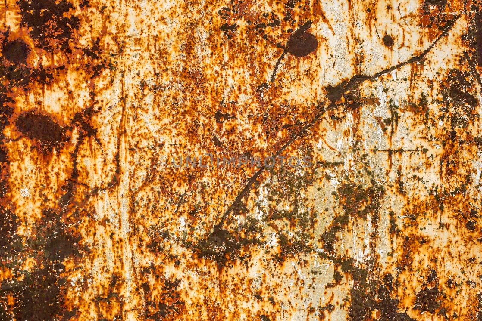rusted flat solid sheet metal background and texture with leftovers of white paint.