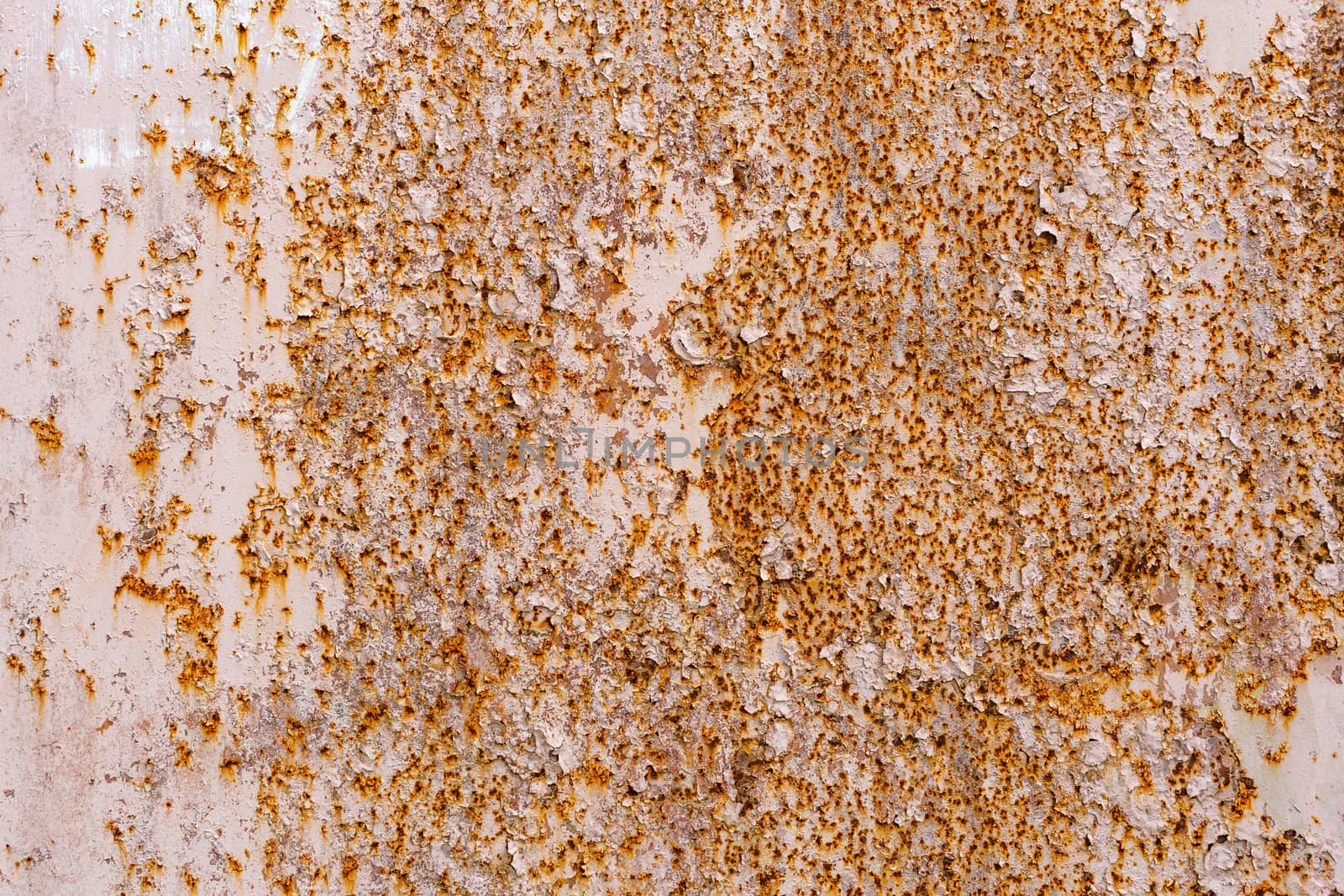 abstract background and texture of white peeling paint surface with orange rust spots.