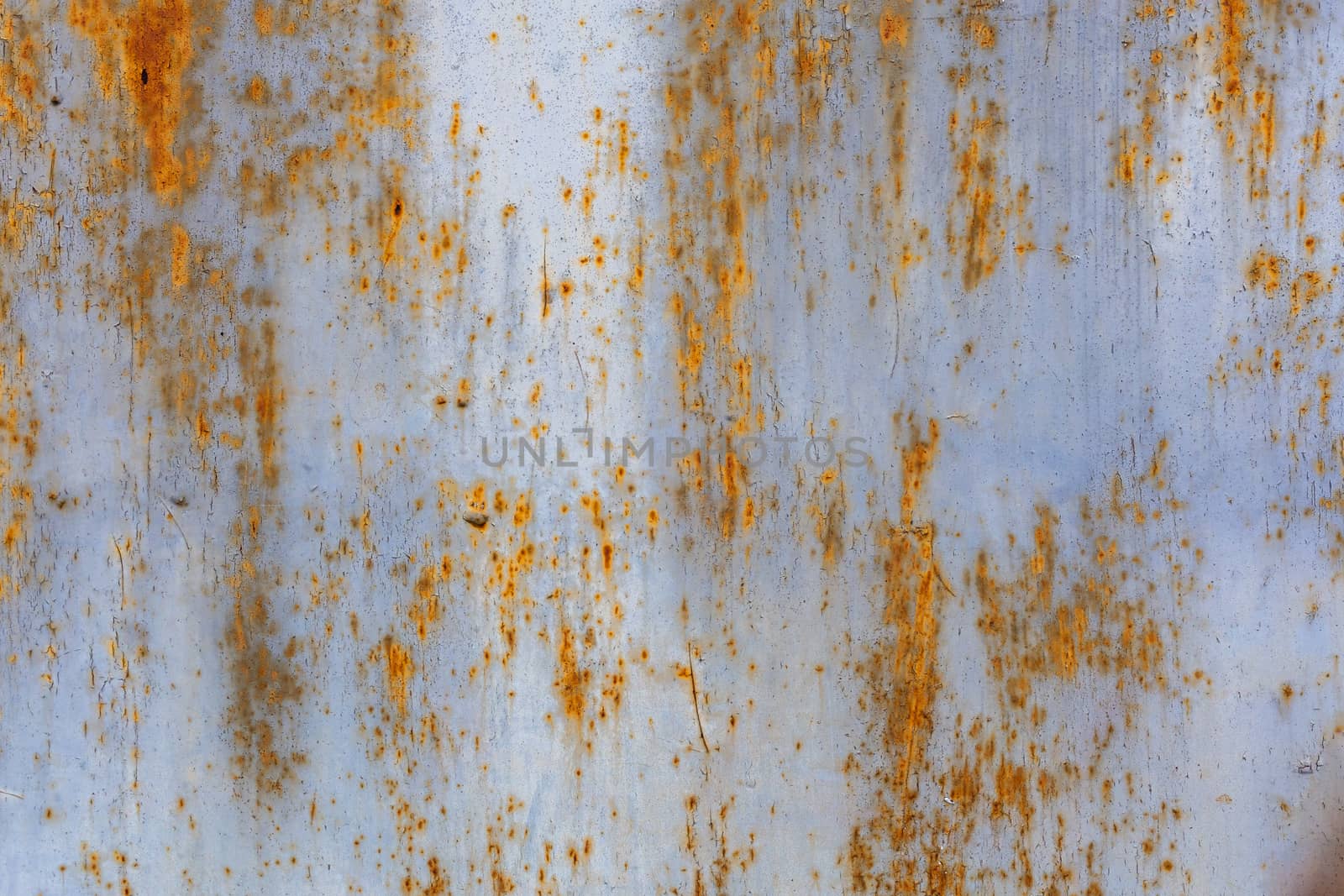 rusted flat solid sheet metal background and texture with leftovers of white and light blue paint.