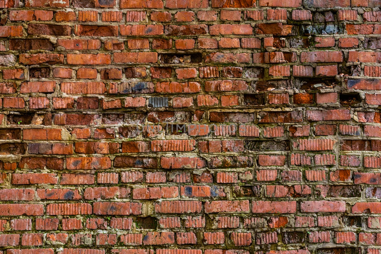 heavily weathered brick wall texture and background with deep water erosion and even some grass sprouts