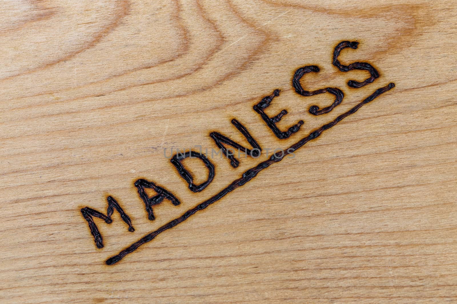 the word madness handwritten with woodburner on flat plywood surface in flat lay directly above view with diagonal composition.