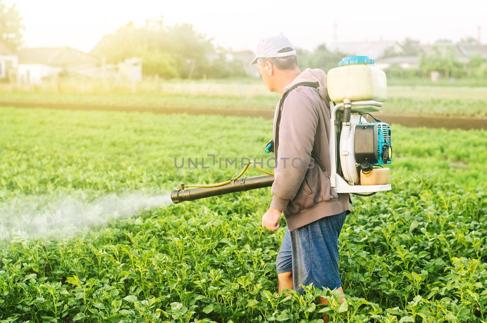 A farmer with a mist sprayer treats the potato plantation from pests and fungus infection. Use chemicals in agriculture. Agriculture and agribusiness. Harvest processing. Protection and care by iLixe48