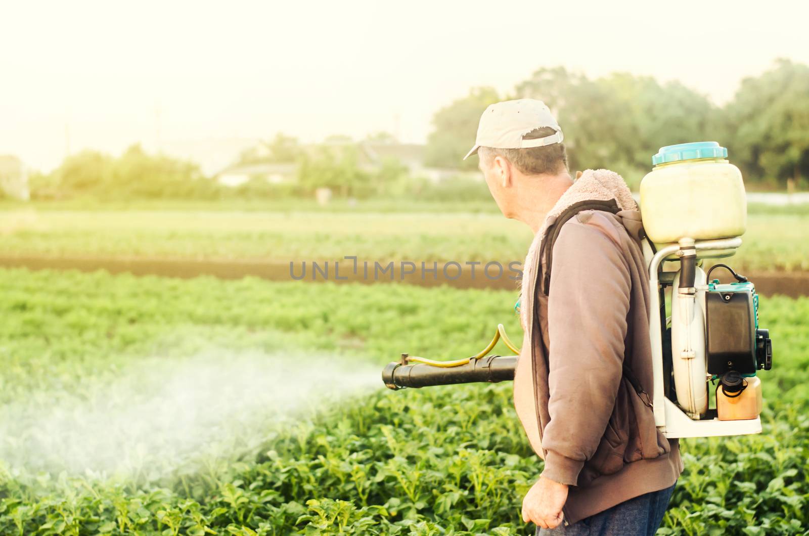 A farmer with a mist sprayer spray treats the potato plantation from pests and fungus infection. Agriculture and agribusiness. Harvest processing. Protection and care. Use chemicals in agriculture.