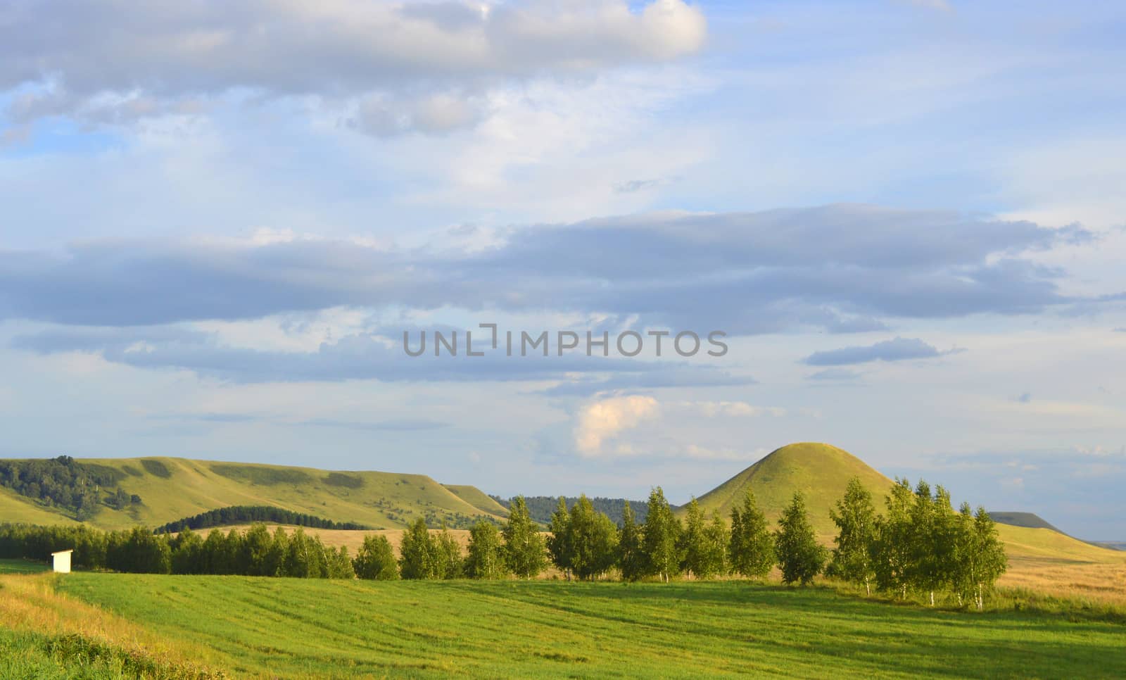 Summer landscape with mountain by sergpet