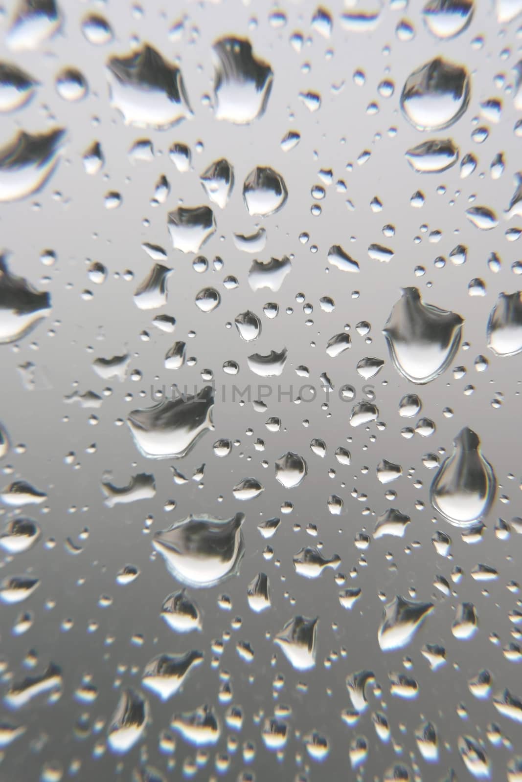 Drops of rain on the window, shallow dof