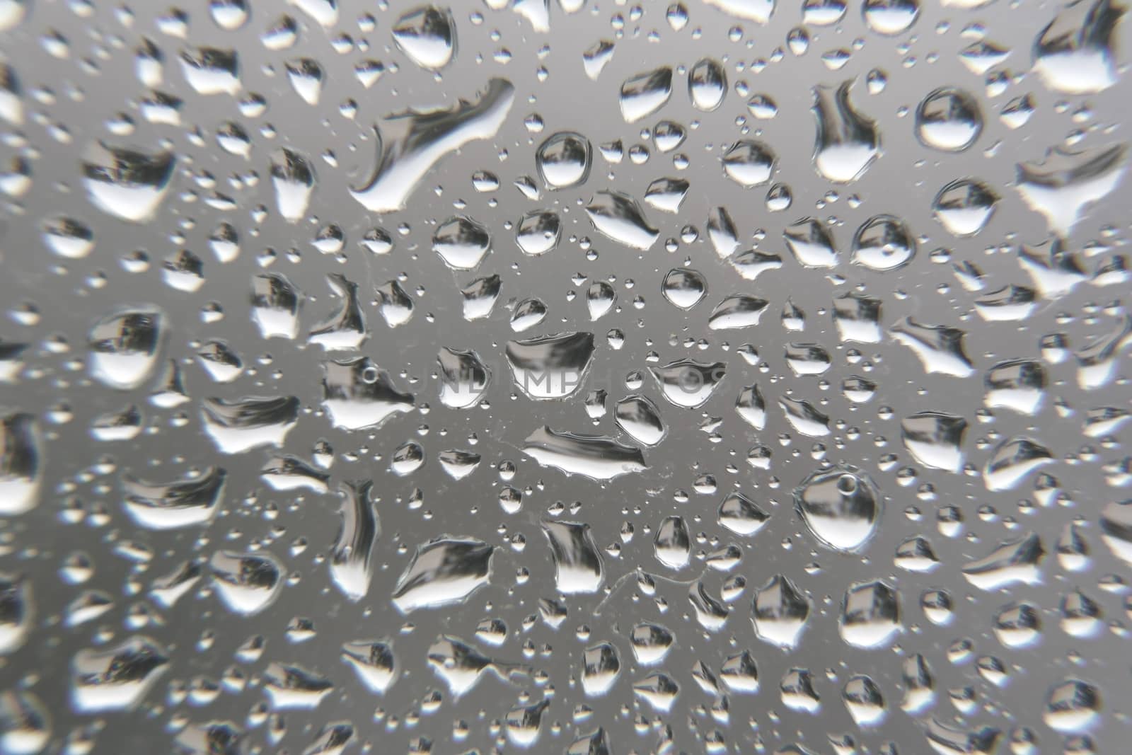 Drops of rain on the window, shallow dof