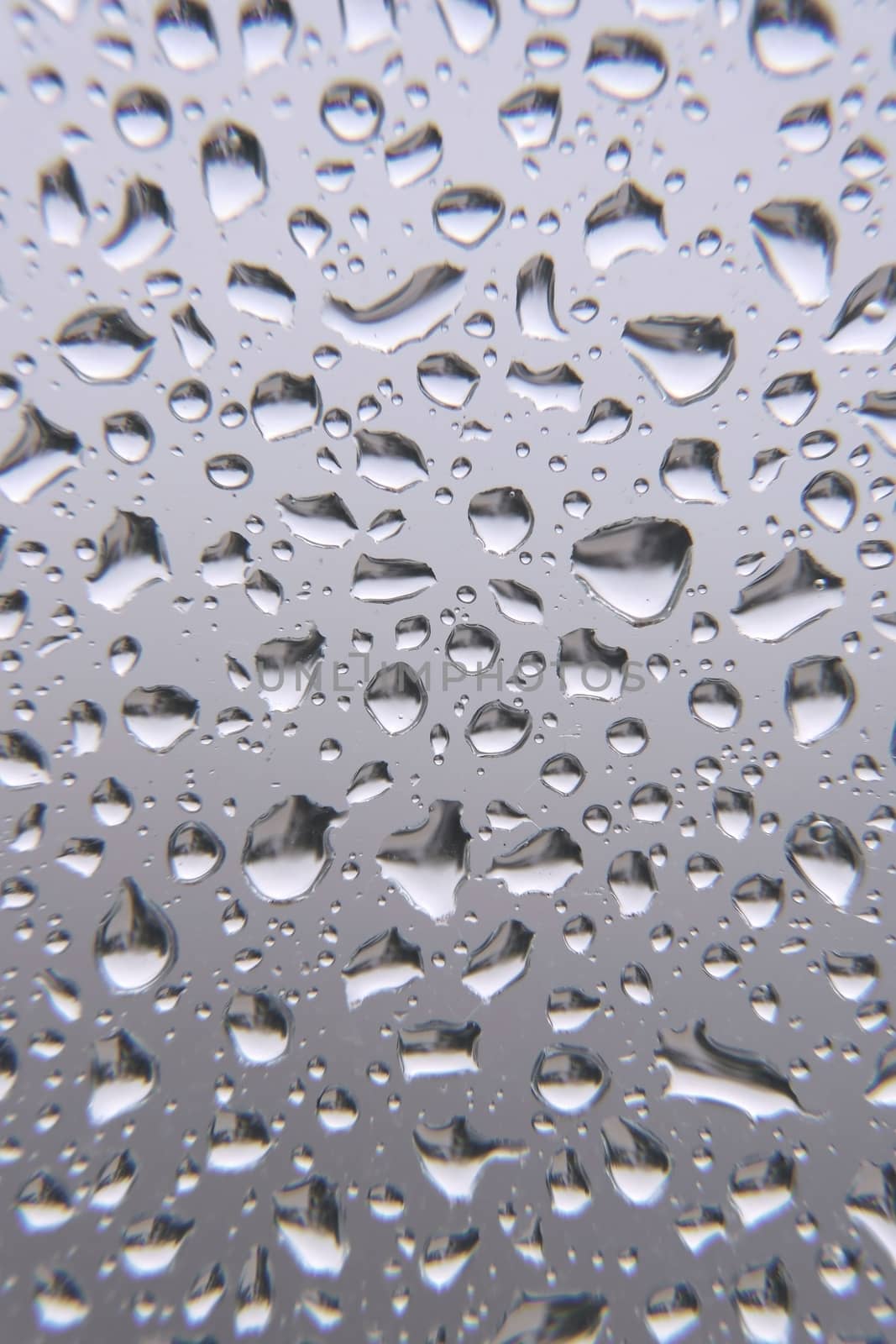 Drops of rain on the window by sergpet