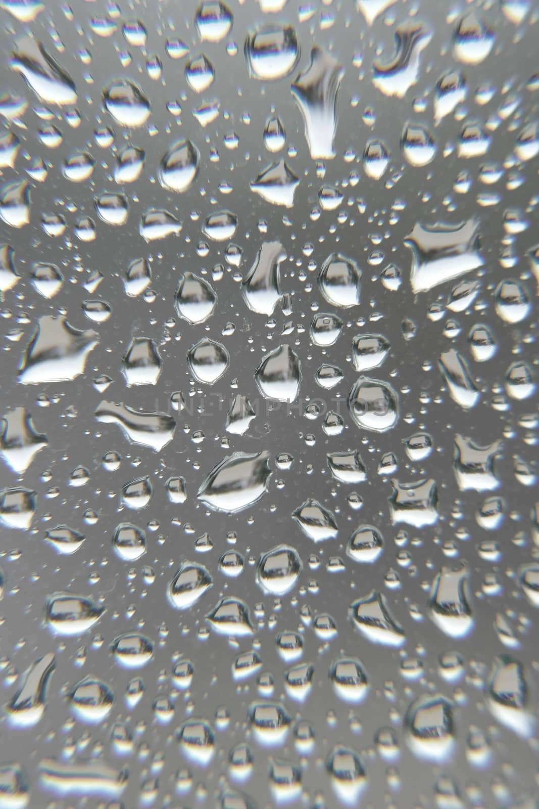 Drops of rain on the window by sergpet