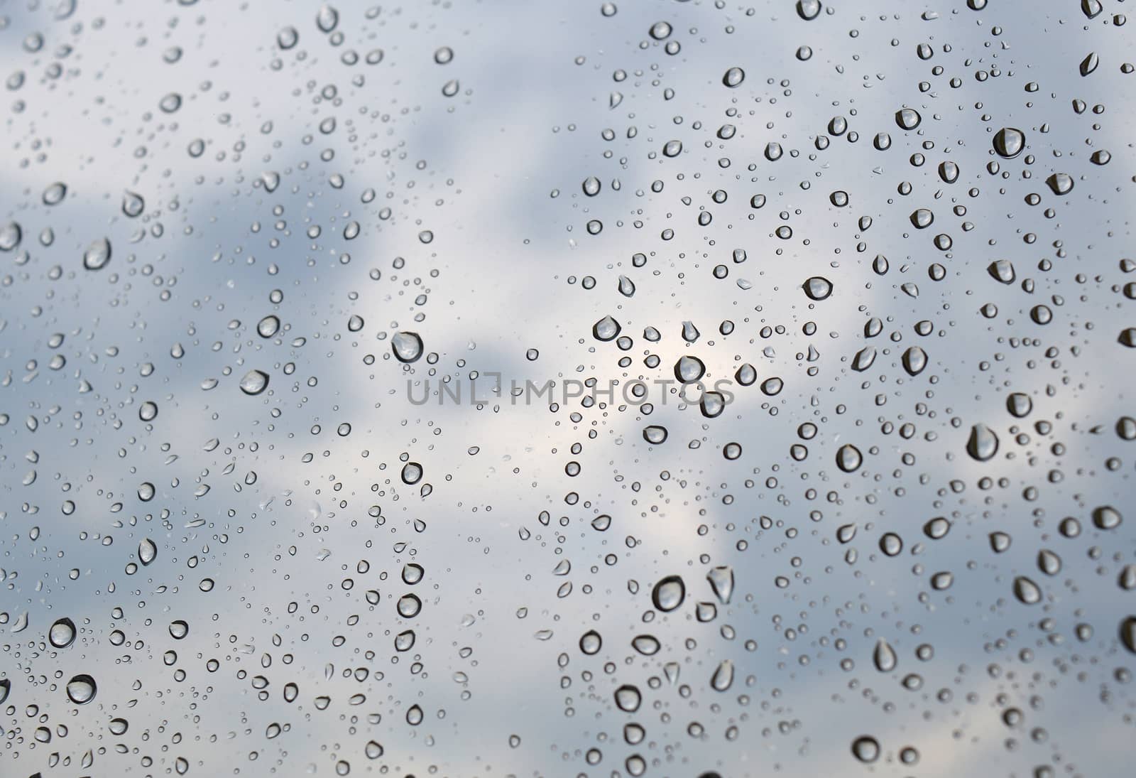 Drops of rain on the window, shallow dof