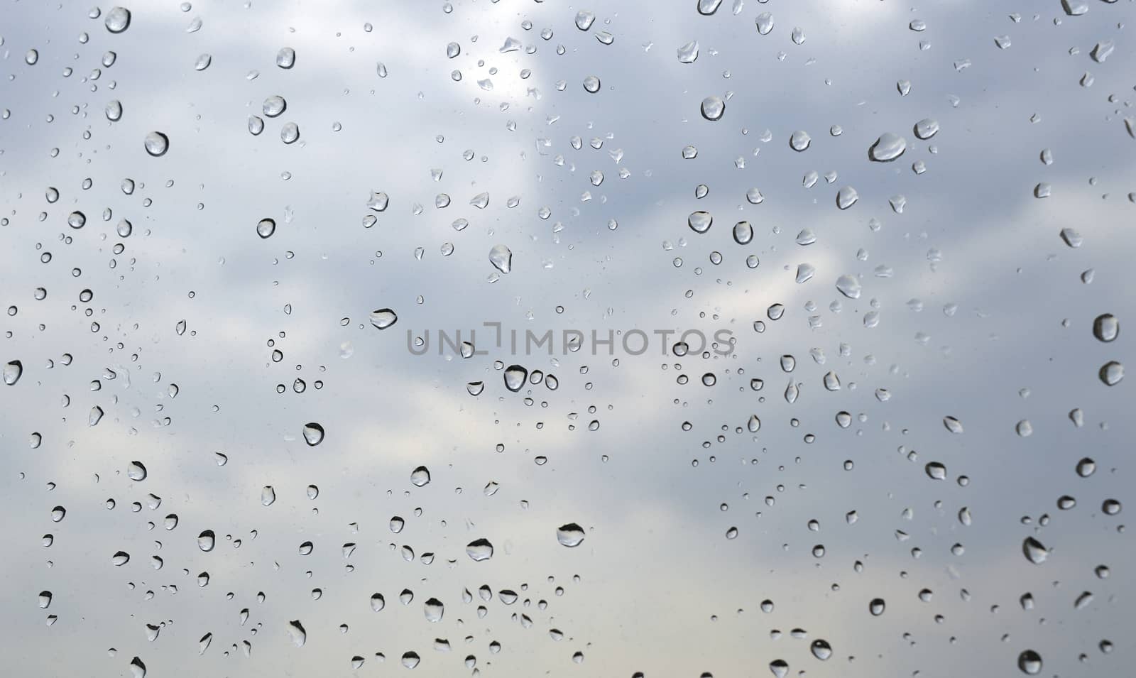 Drops of rain on the window, shallow dof