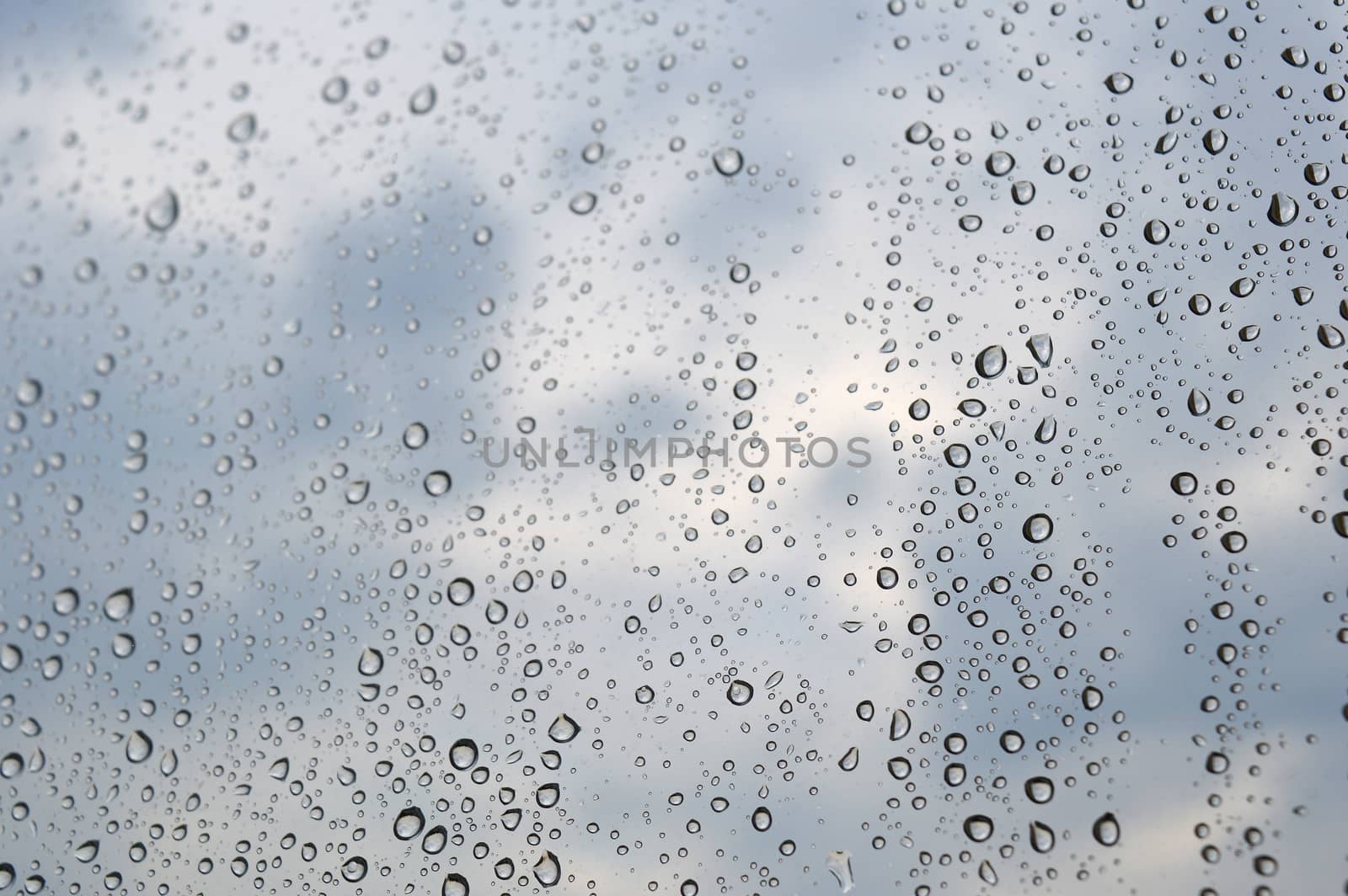 Drops of rain on the window, shallow dof