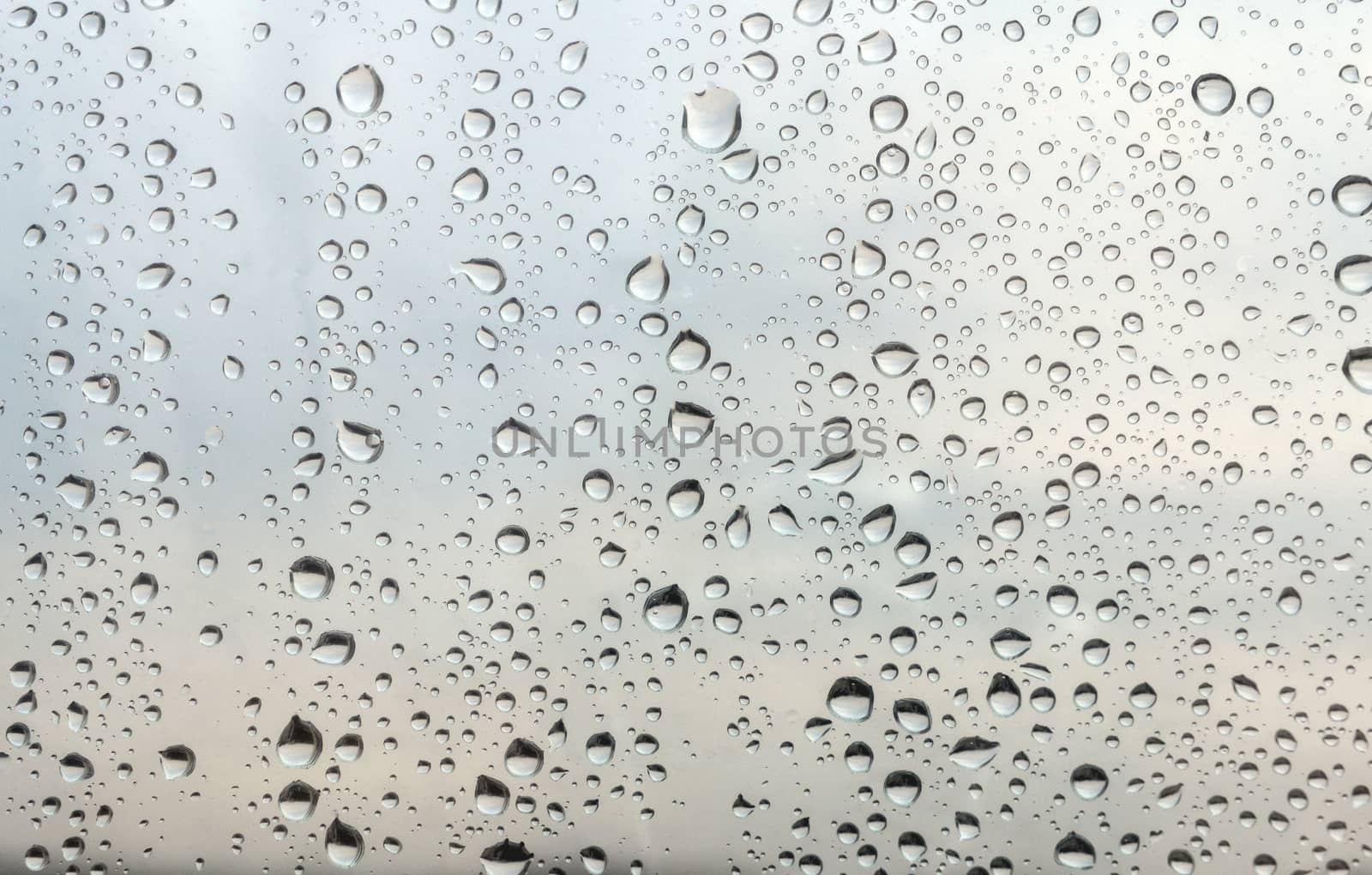 Drops of rain on the window, shallow dof