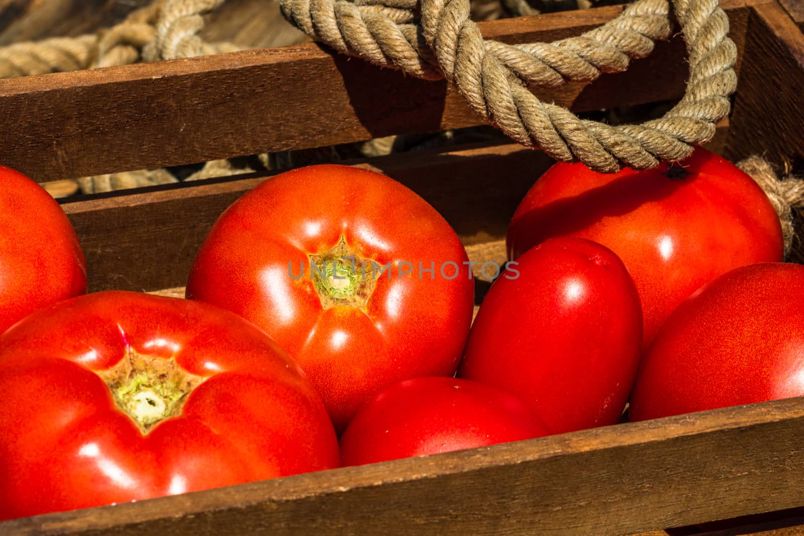 Wooden crate with fresh ripe tomatoes isolated in a rustic compo by vladispas