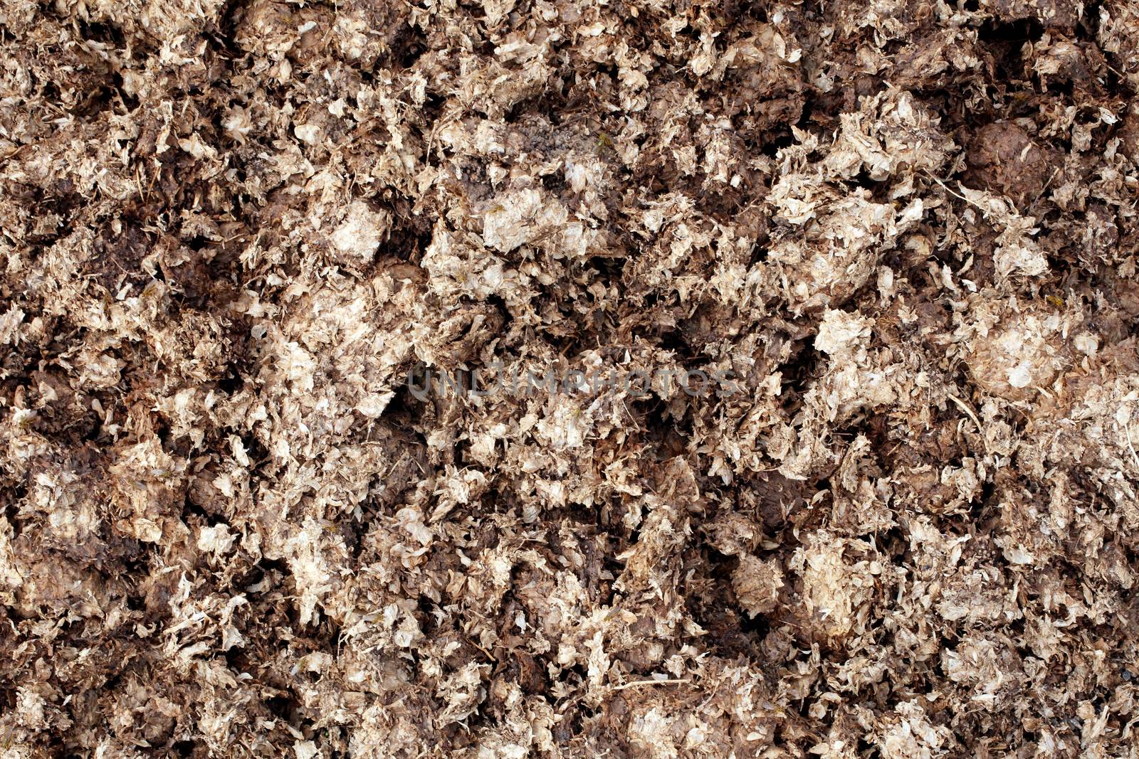 Background texture of horse manure compost added to the soil as a fertiliser mulch stock photo